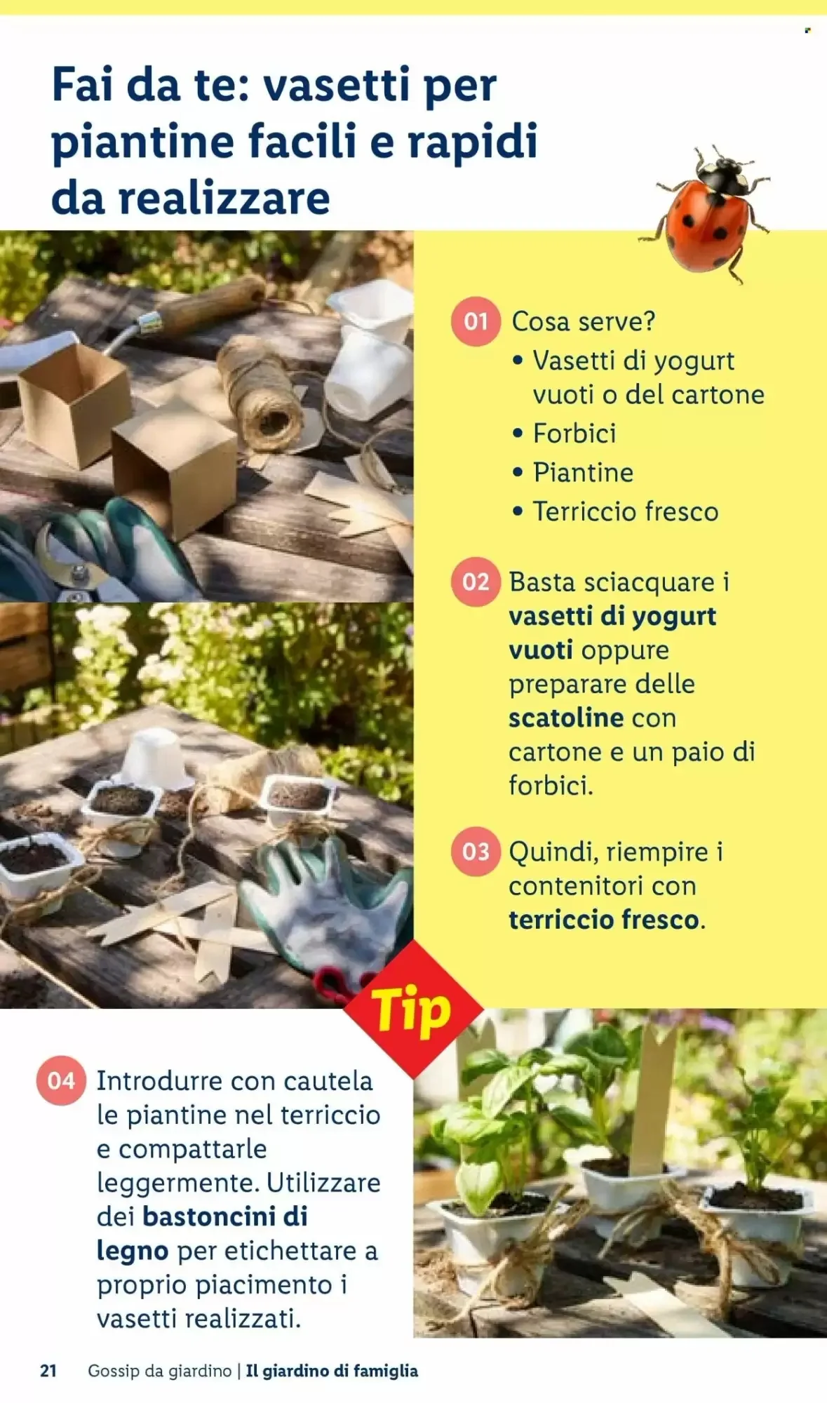 Volantino Lidl Volantino Lidl pagina 21