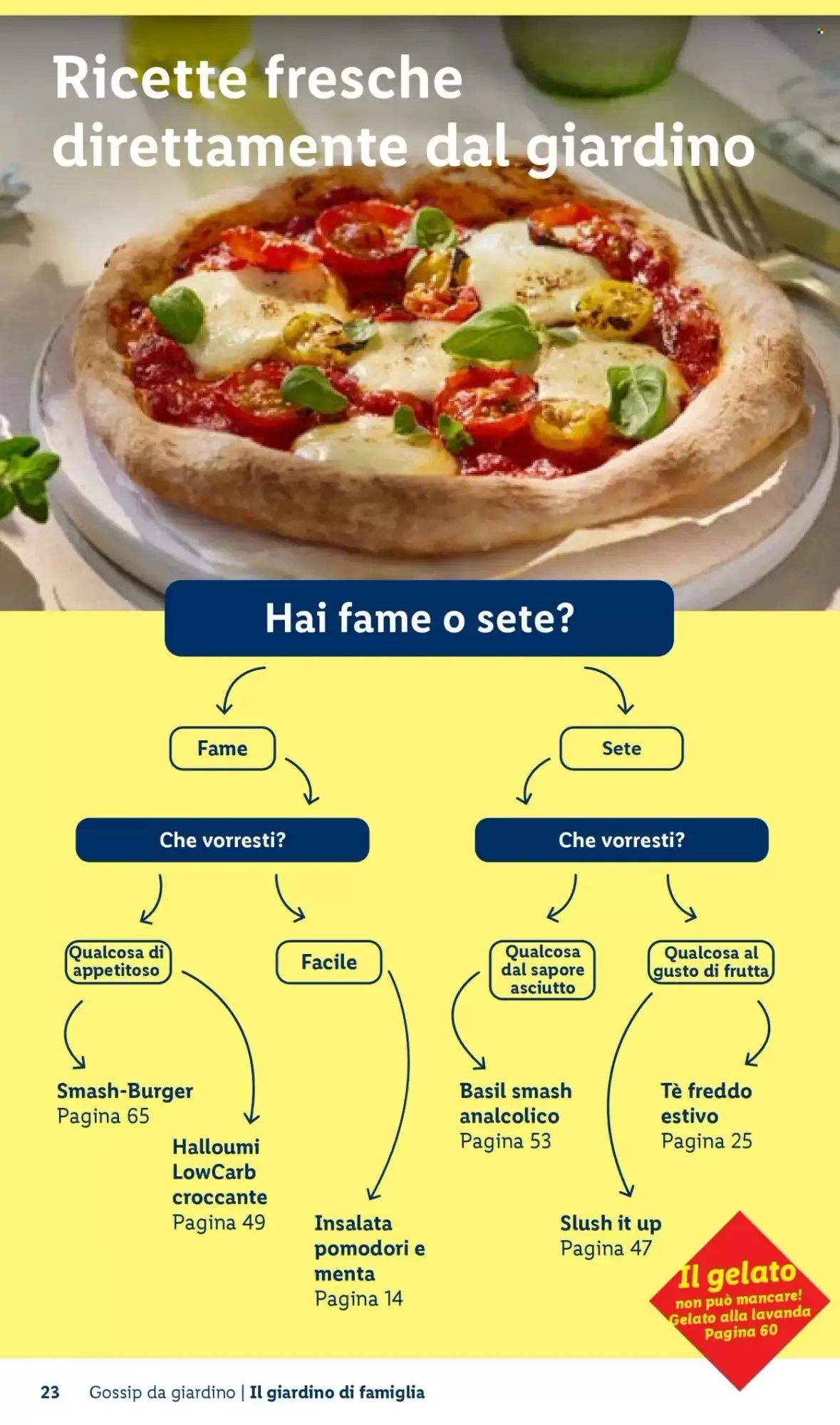 Volantino Lidl Volantino Lidl pagina 23