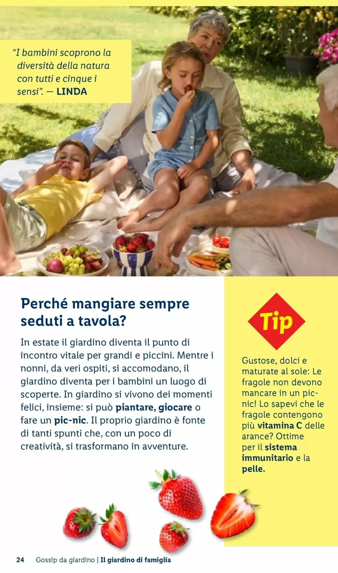 Volantino Lidl Volantino Lidl pagina 24