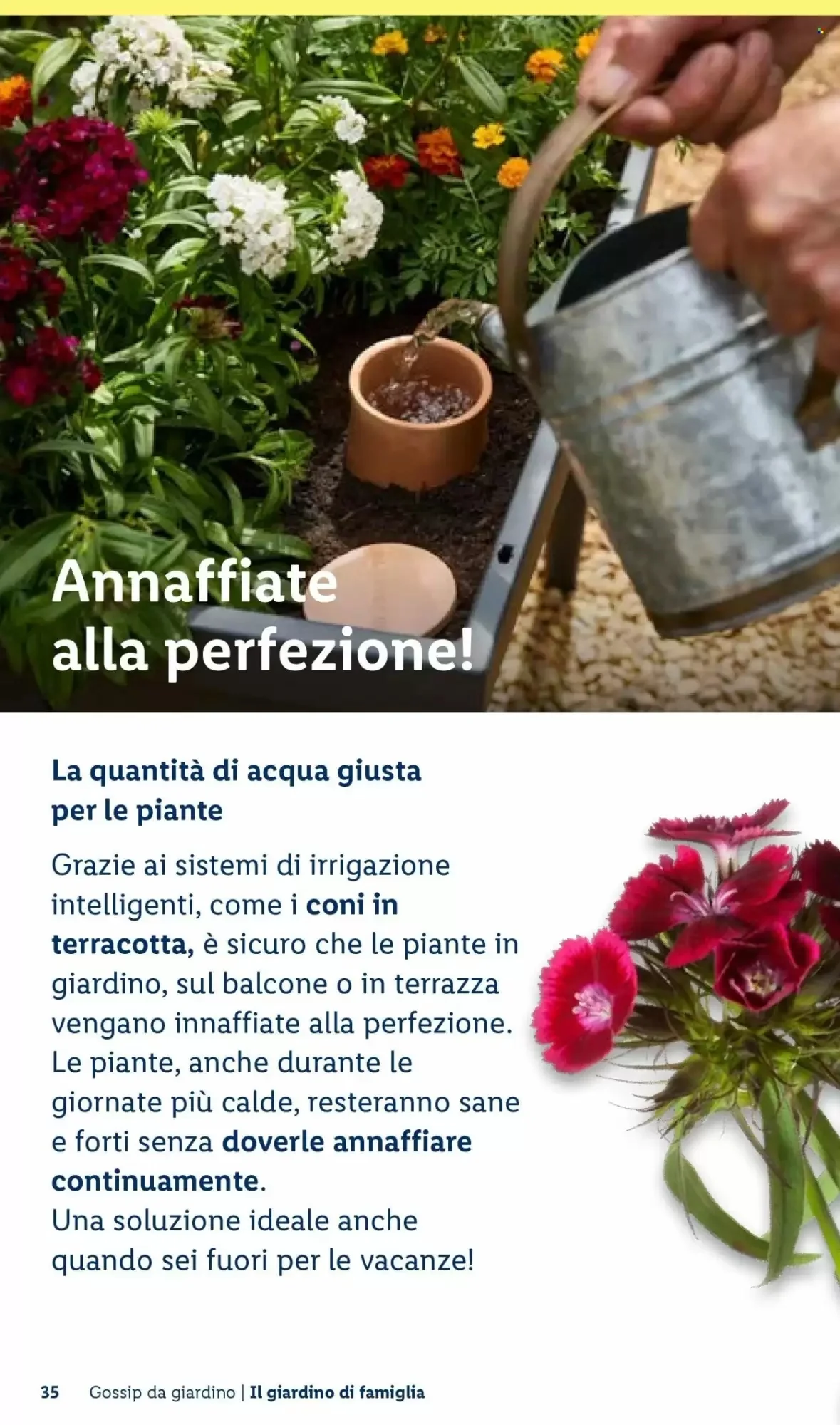 Volantino Lidl Volantino Lidl pagina 35