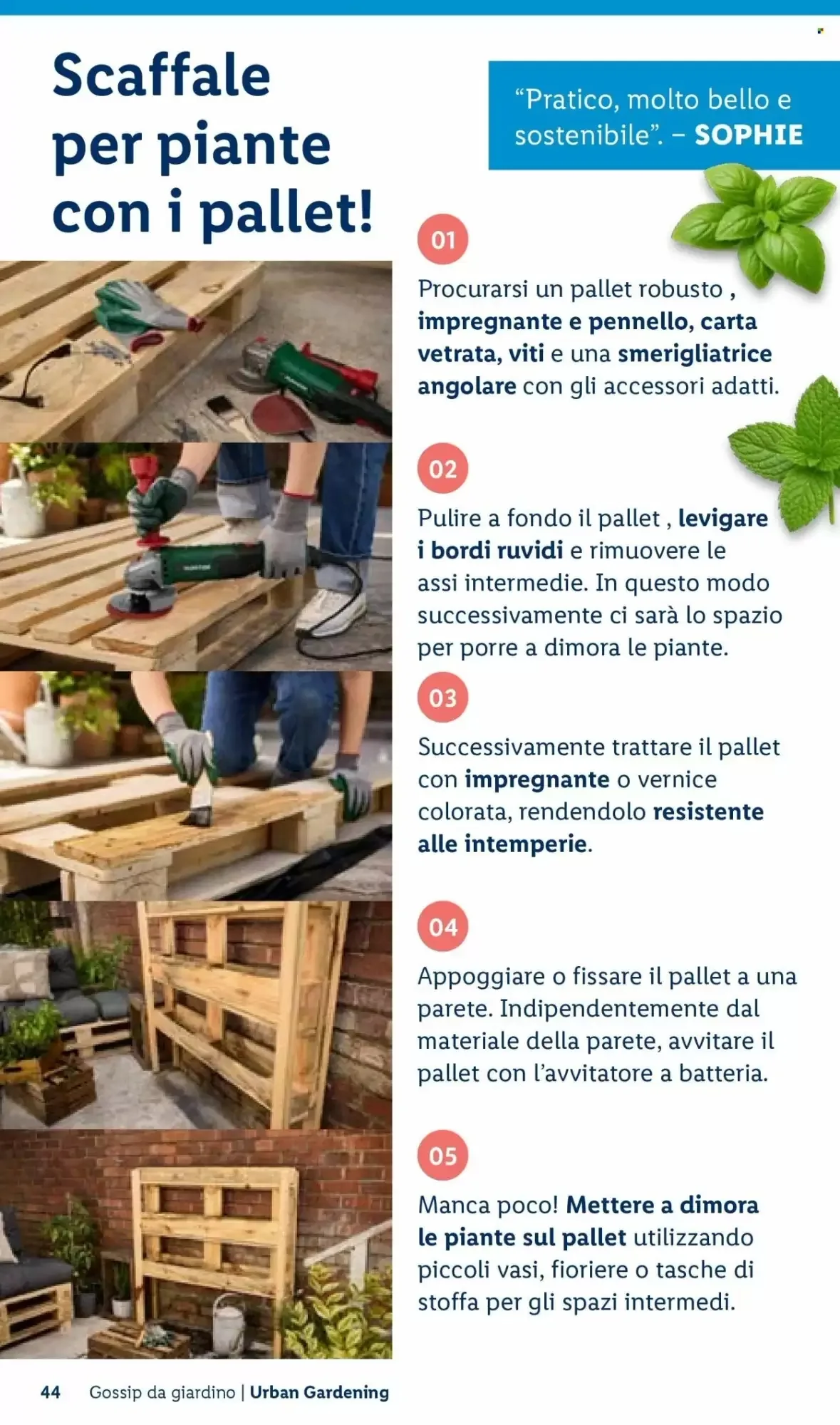 Volantino Lidl Volantino Lidl pagina 44