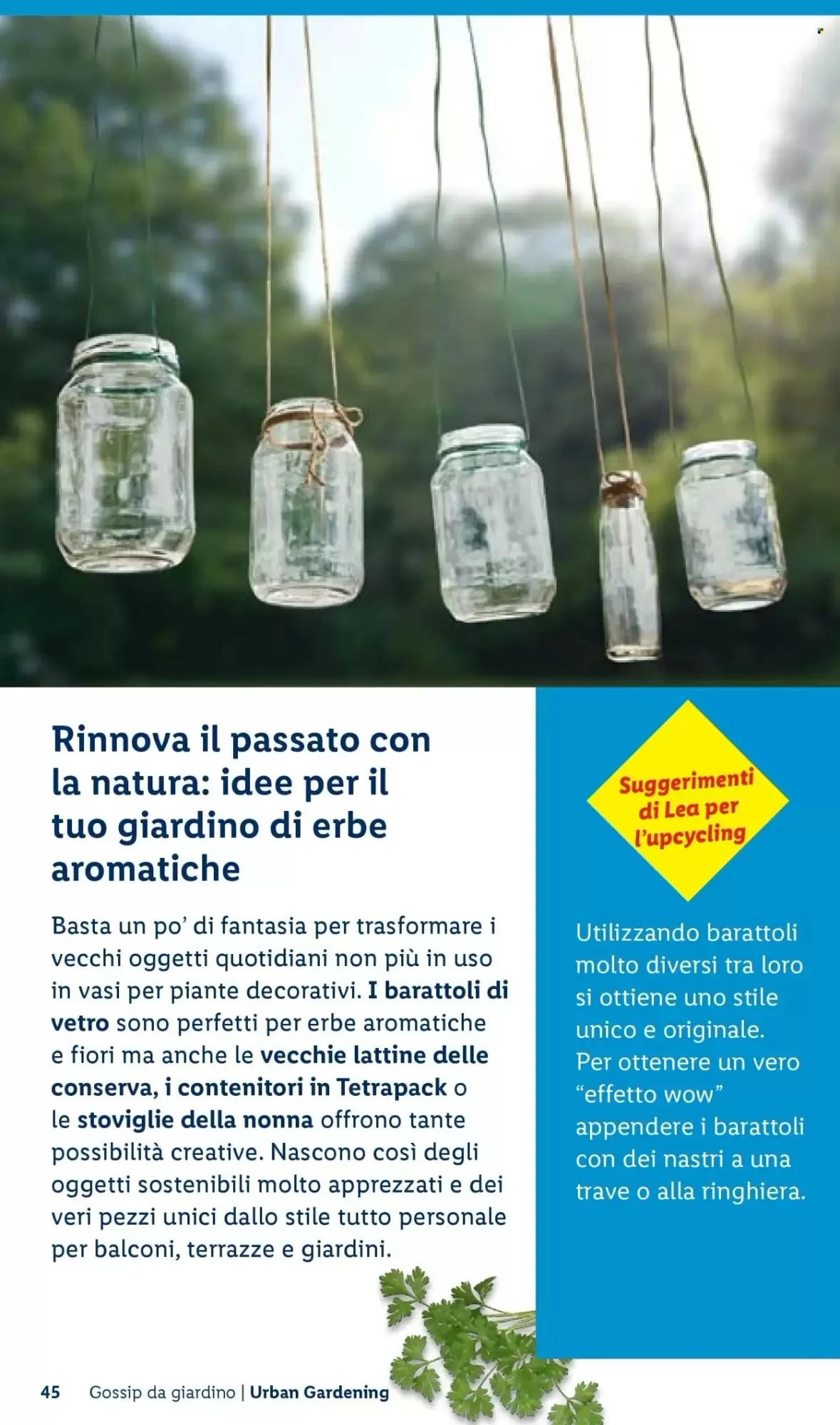 Volantino Lidl Volantino Lidl pagina 45
