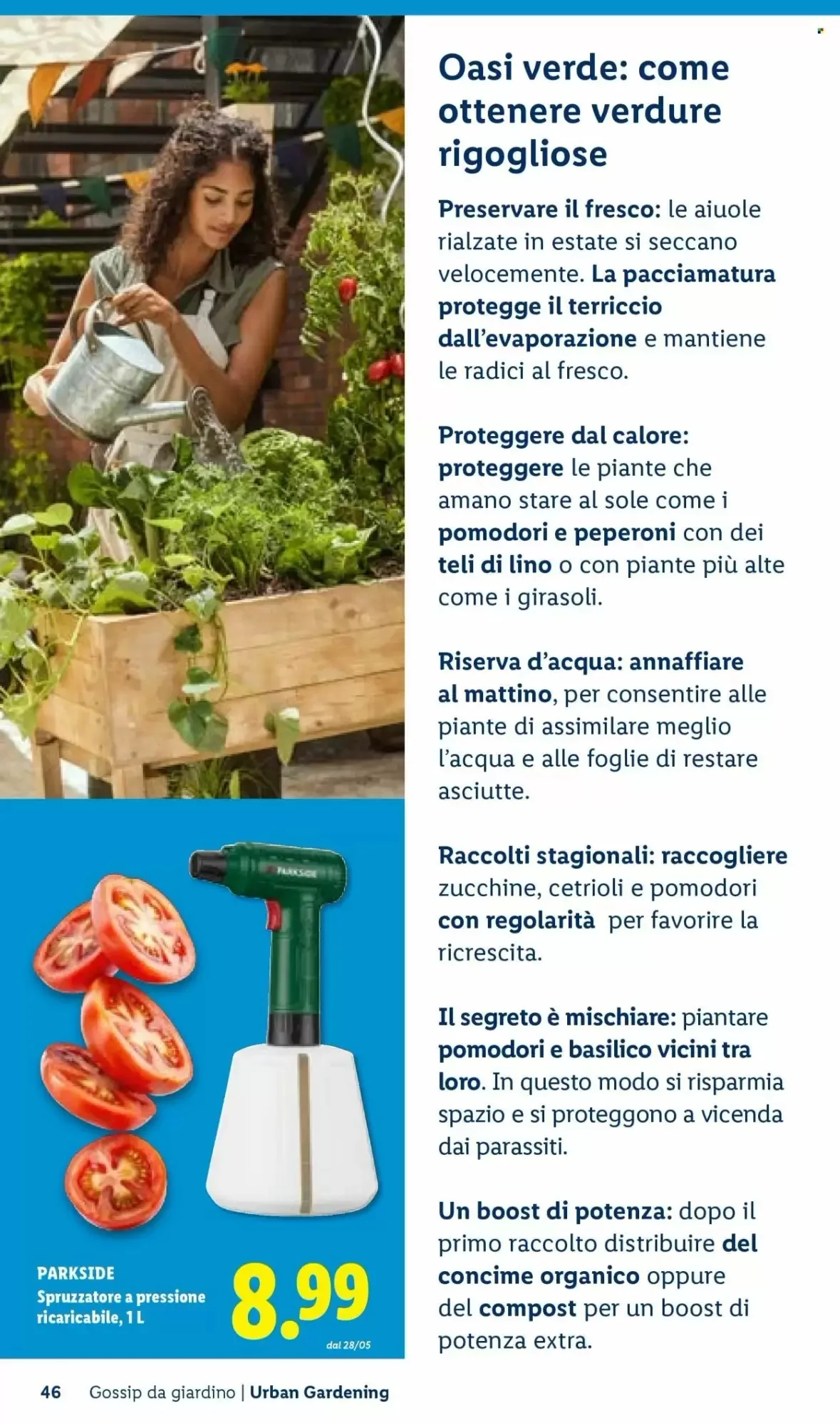 Volantino Lidl Volantino Lidl pagina 46