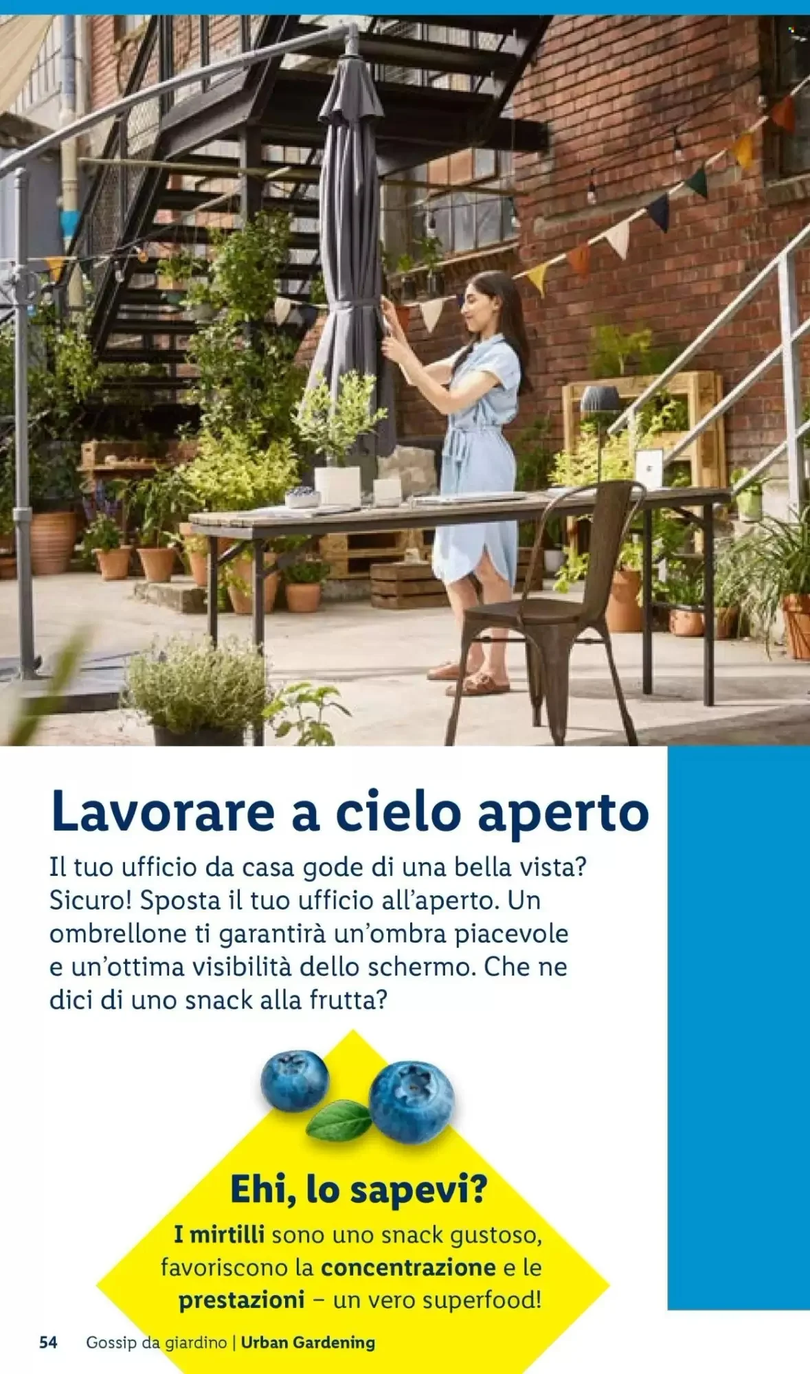 Volantino Lidl Volantino Lidl pagina 54