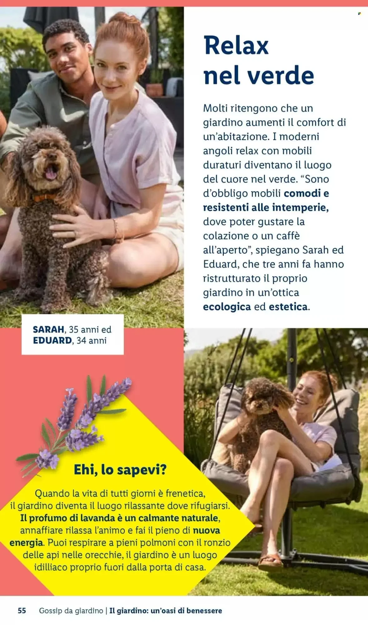 Volantino Lidl Volantino Lidl pagina 55
