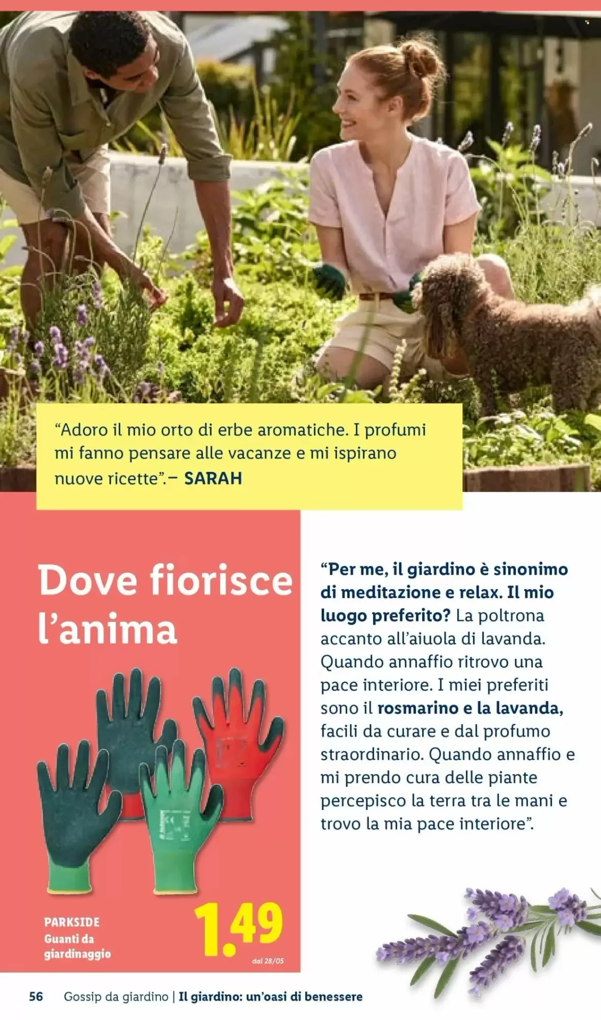 Volantino Lidl Volantino Lidl pagina 56