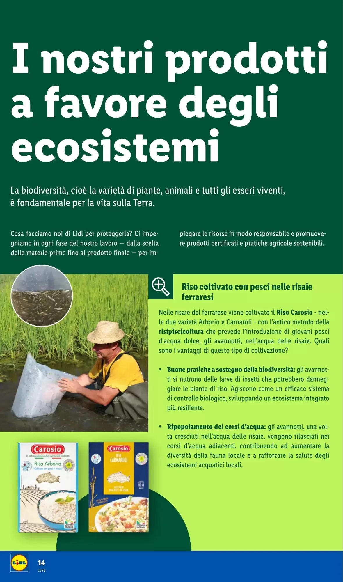 Volantino Lidl Volantino Lidl pagina 14