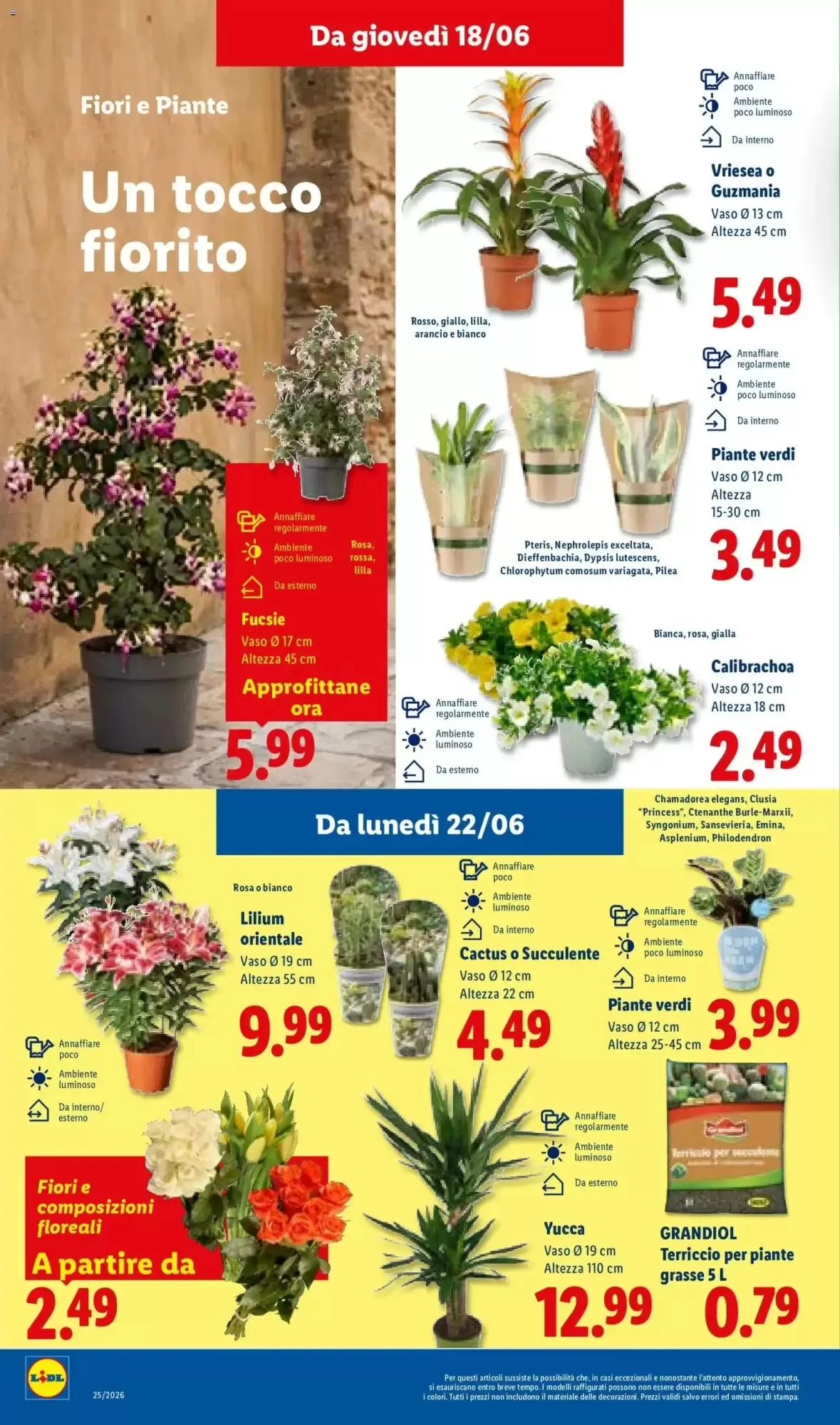 Volantino Lidl | Tutti i gusti dell'estate Volantino Lidl | Tutti i gusti dell'estate pagina 32