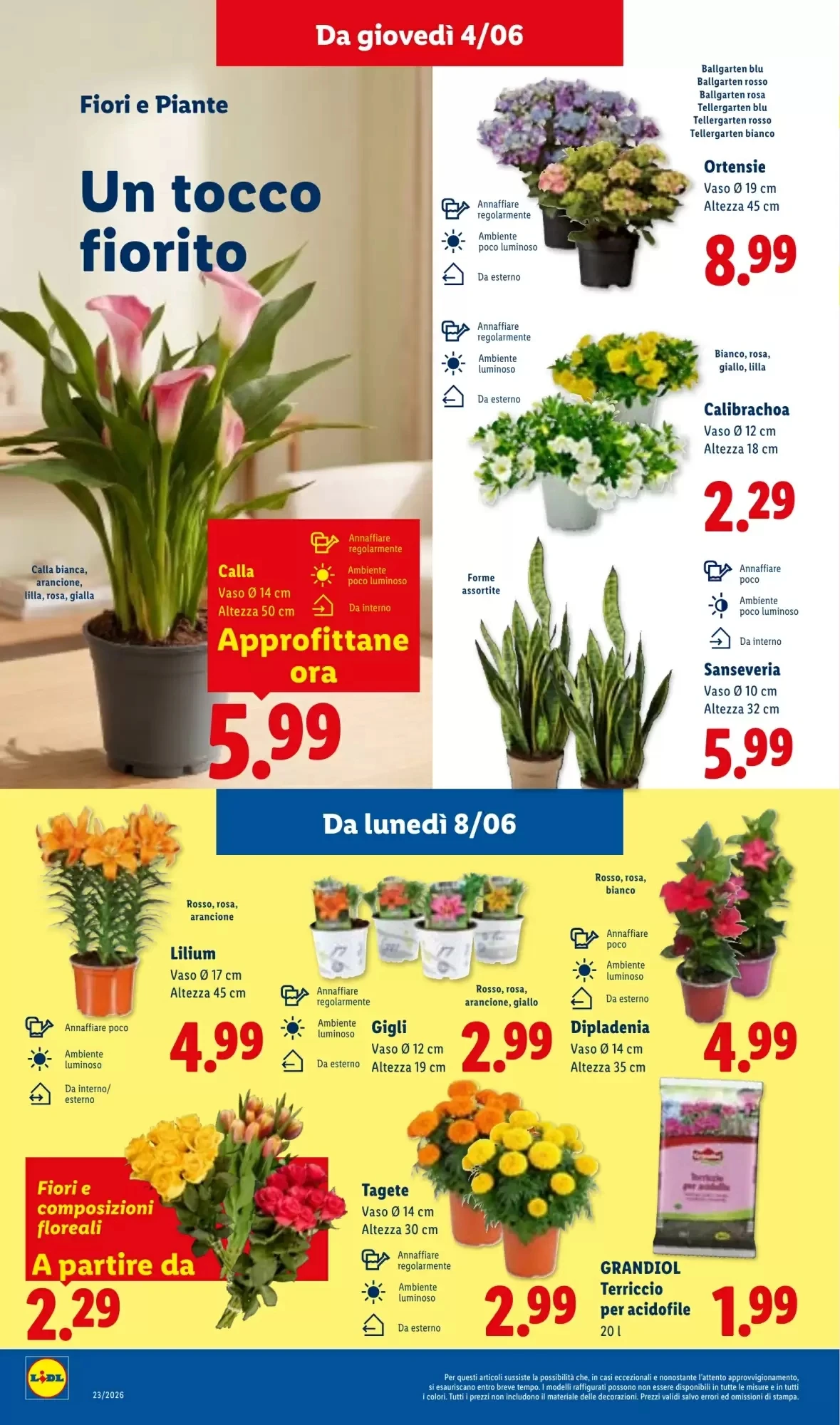 Volantino Lidl Volantino Lidl pagina 32