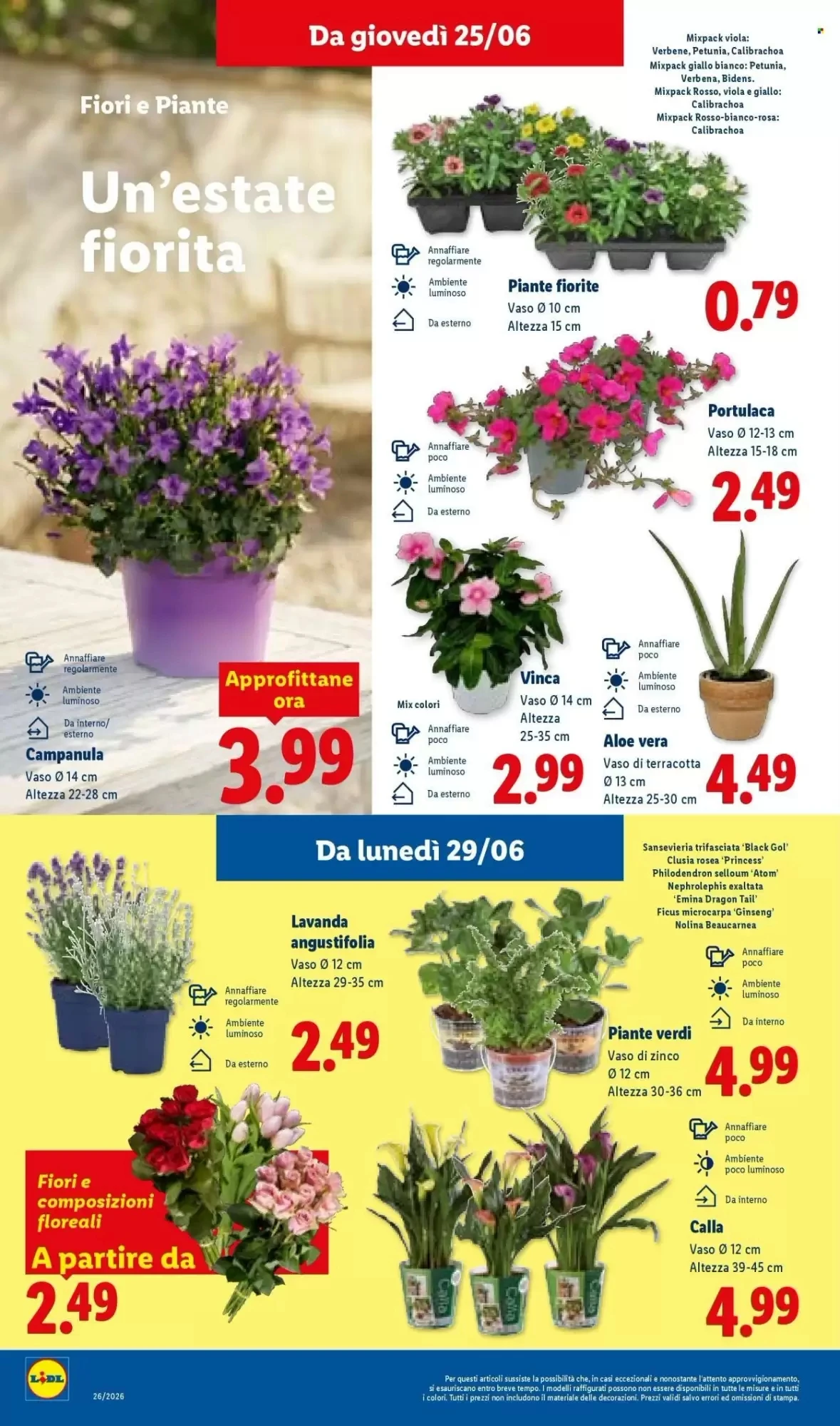 Volantino Lidl Volantino Lidl pagina 36