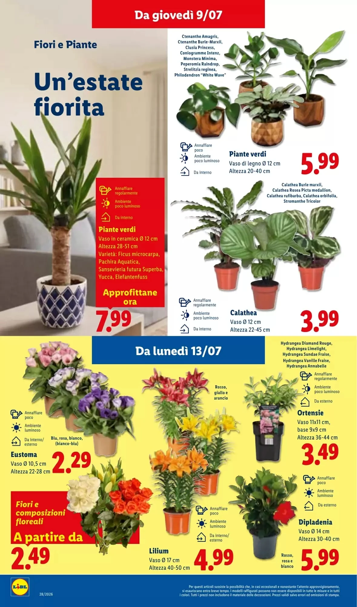 Volantino Lidl Volantino Lidl pagina 36