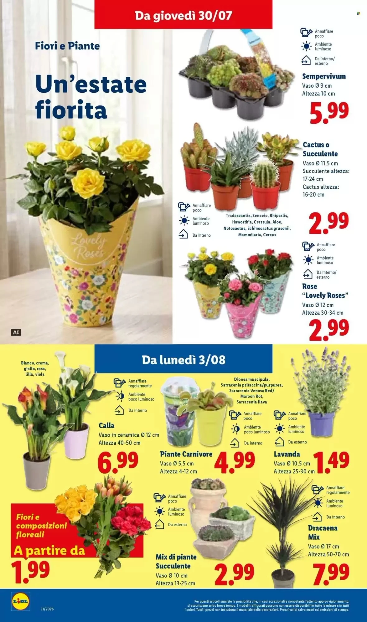Volantino Lidl Volantino Lidl pagina 30