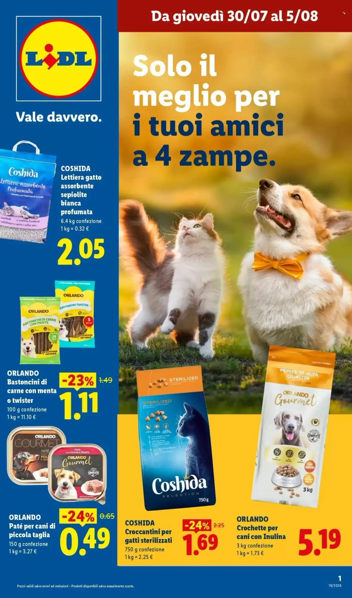 Copertina Lidl - Volantino Lidl