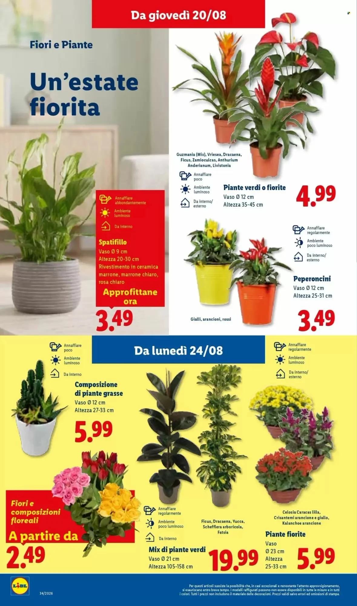 Volantino Lidl Volantino Lidl pagina 26