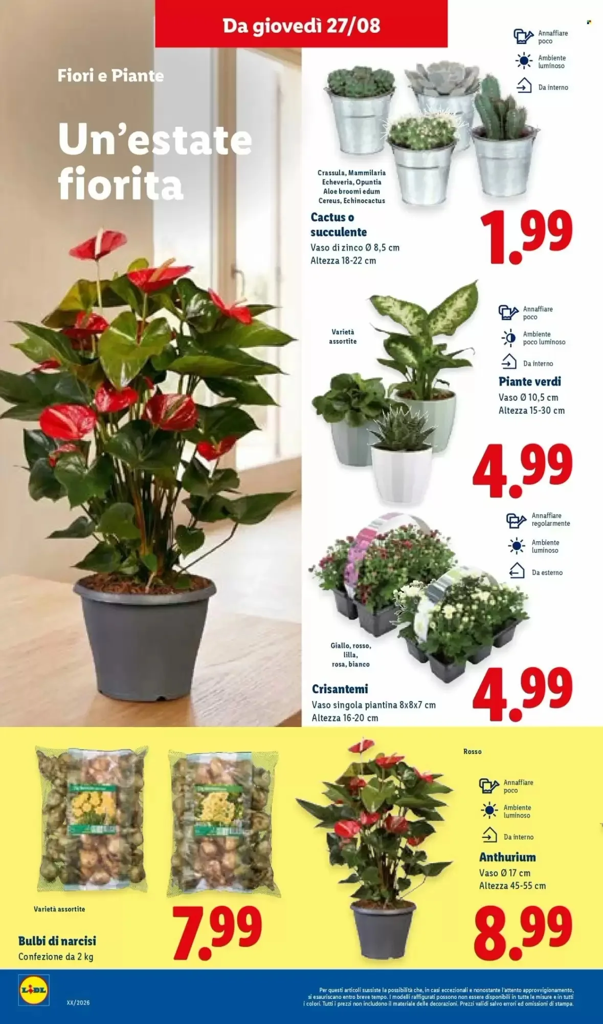 Volantino Lidl Volantino Lidl pagina 32