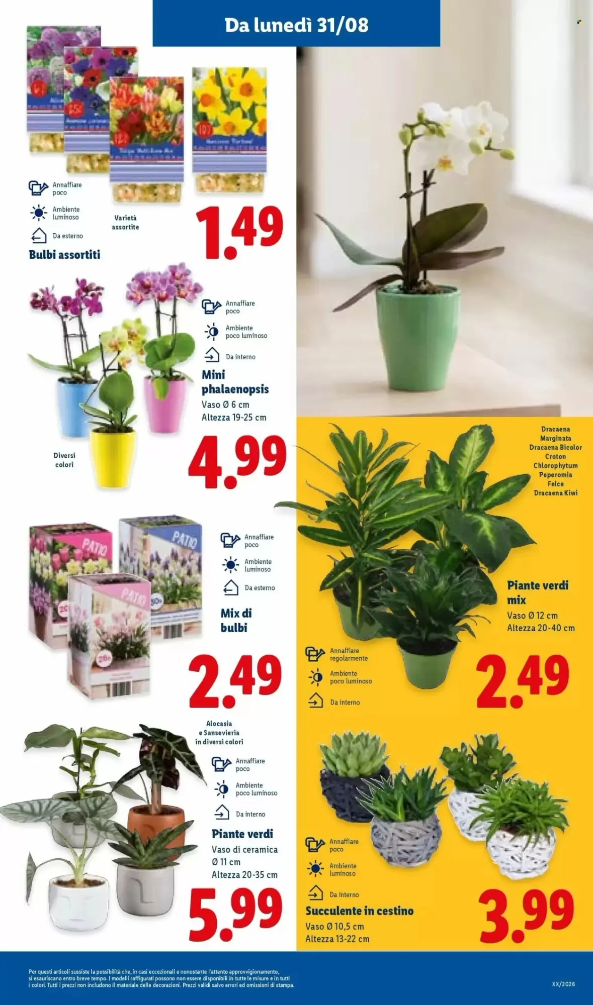 Volantino Lidl Volantino Lidl pagina 33