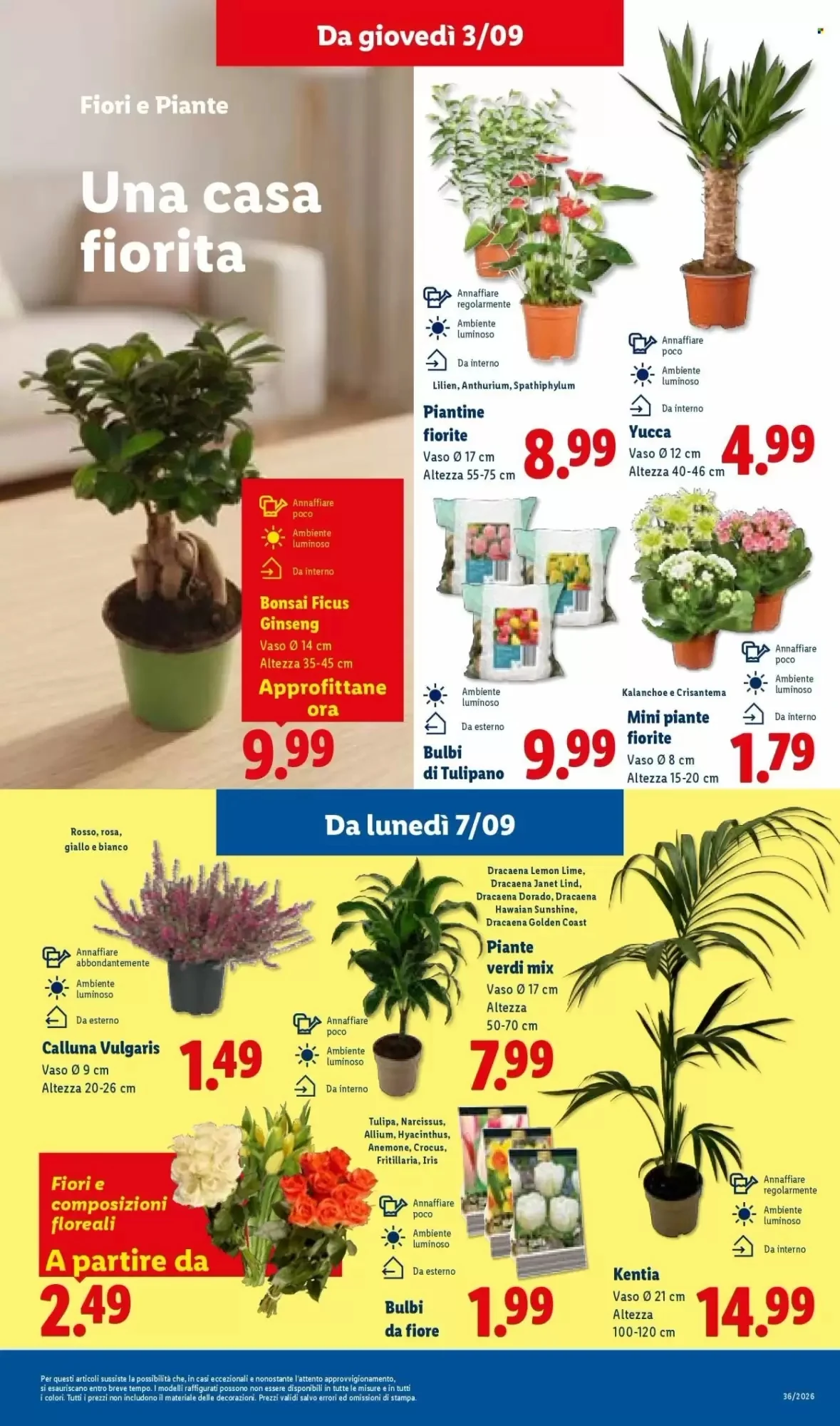 Volantino Lidl Volantino Lidl pagina 11