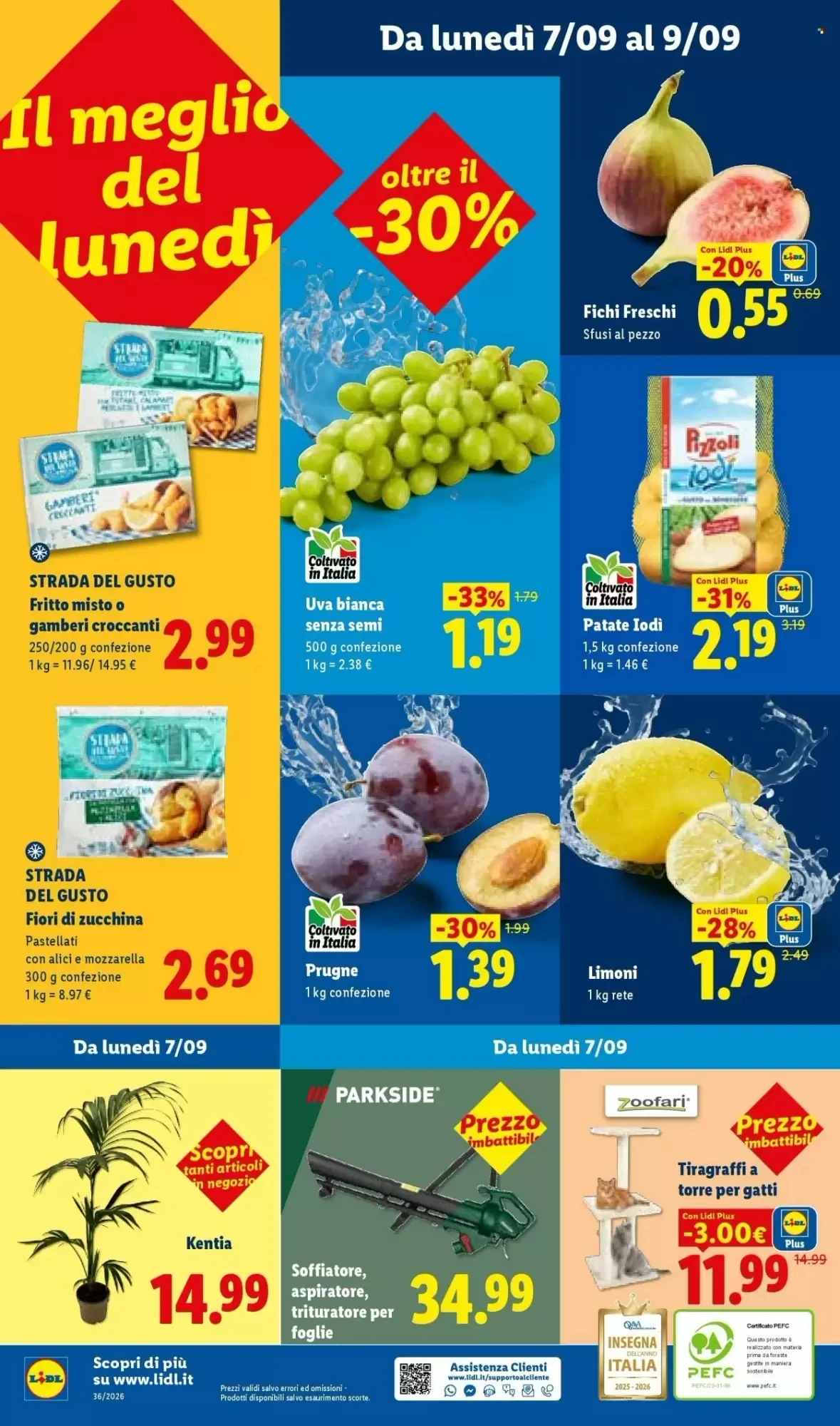 Volantino Lidl Volantino Lidl pagina 46