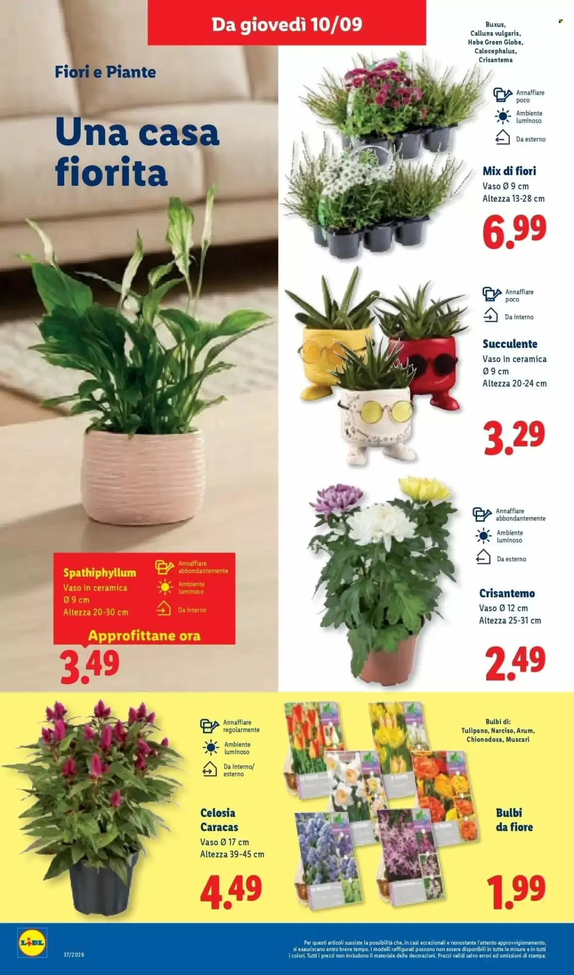 Volantino Lidl Volantino Lidl pagina 46