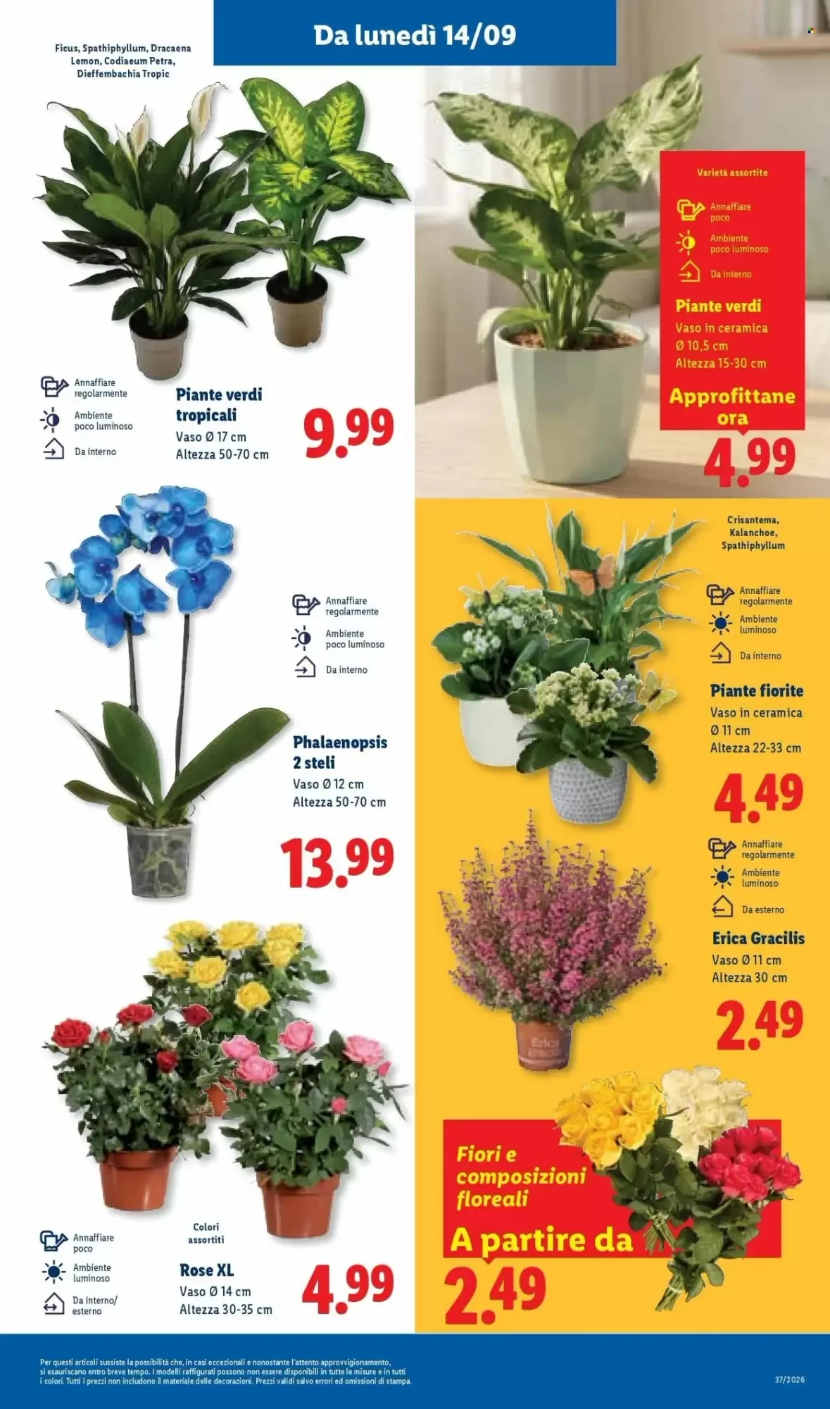 Volantino Lidl Volantino Lidl pagina 47