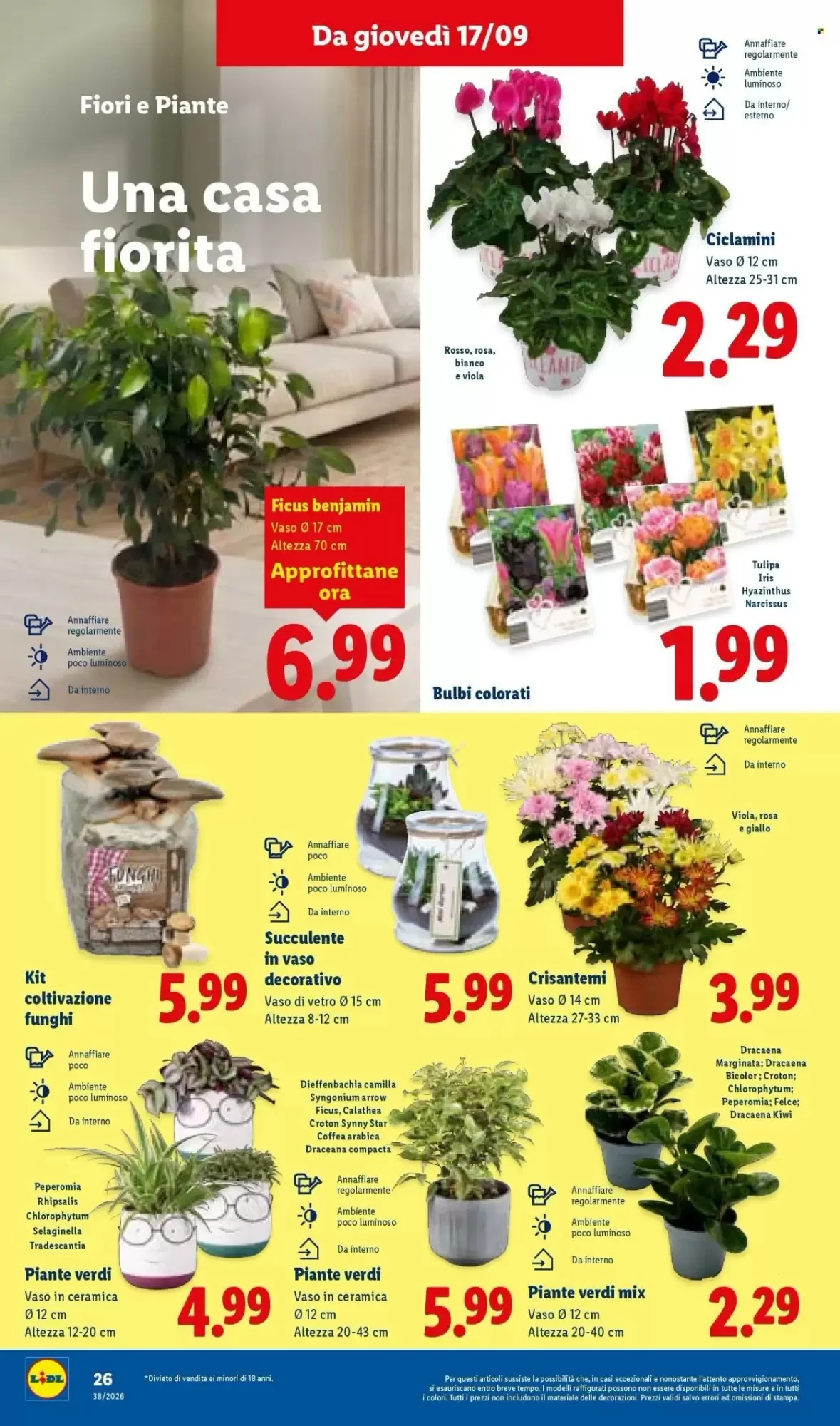 Volantino Lidl Volantino Lidl pagina 32