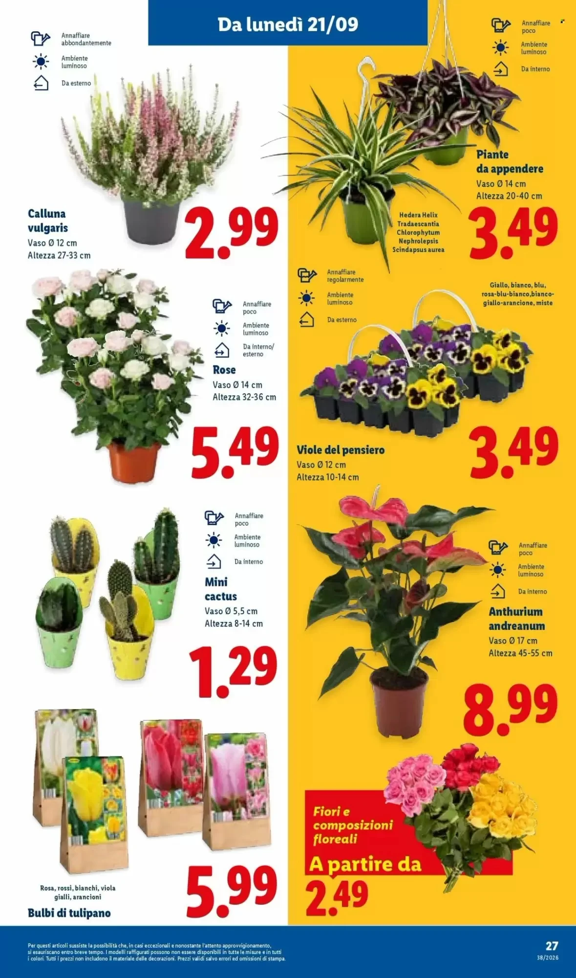 Volantino Lidl Volantino Lidl pagina 33