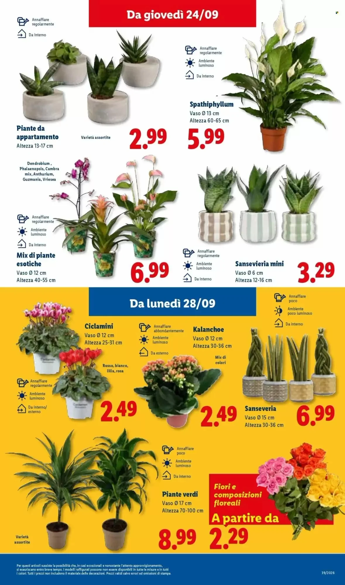 Volantino Lidl Volantino Lidl pagina 43
