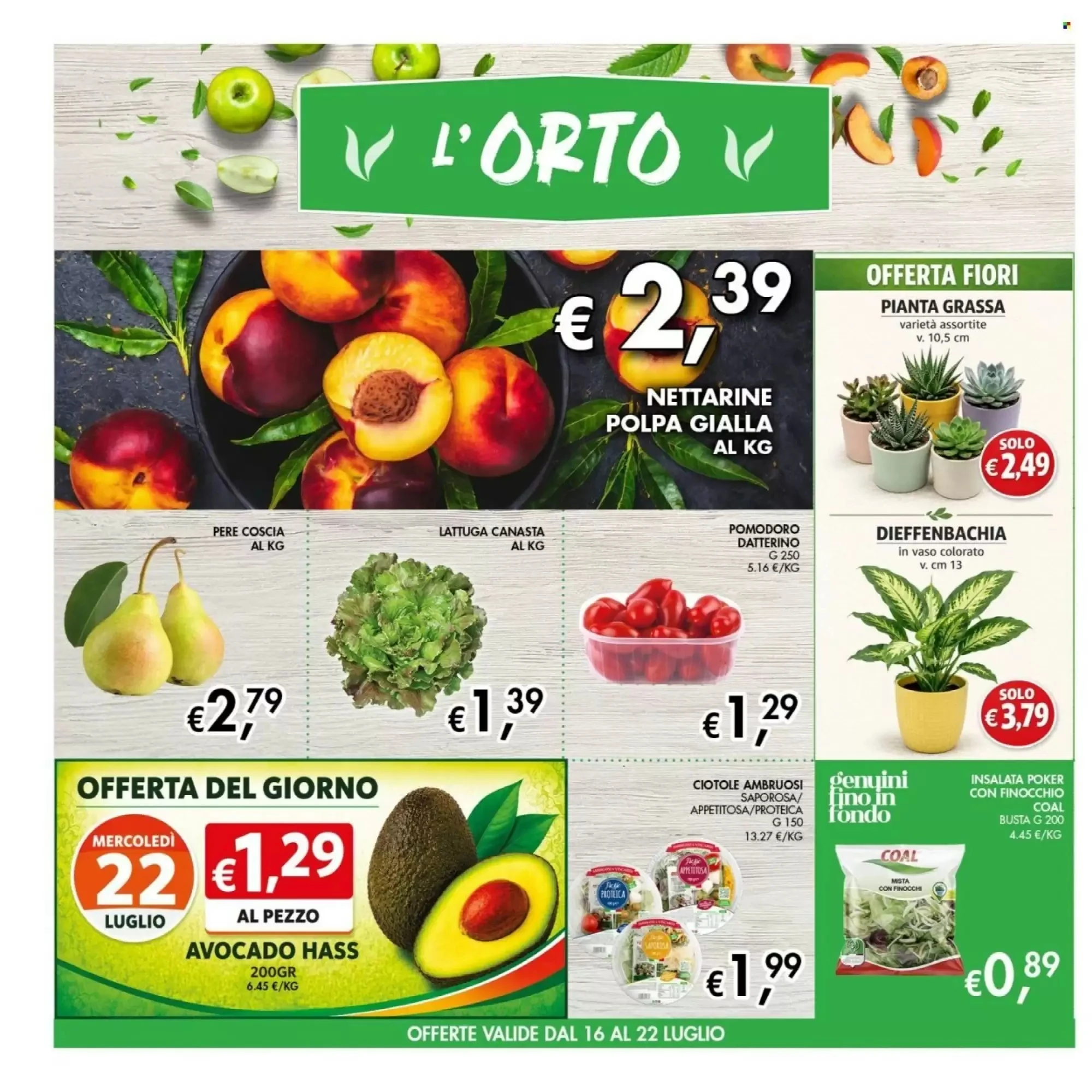 Volantino Maxi Coal Volantino Maxi Coal pagina 2