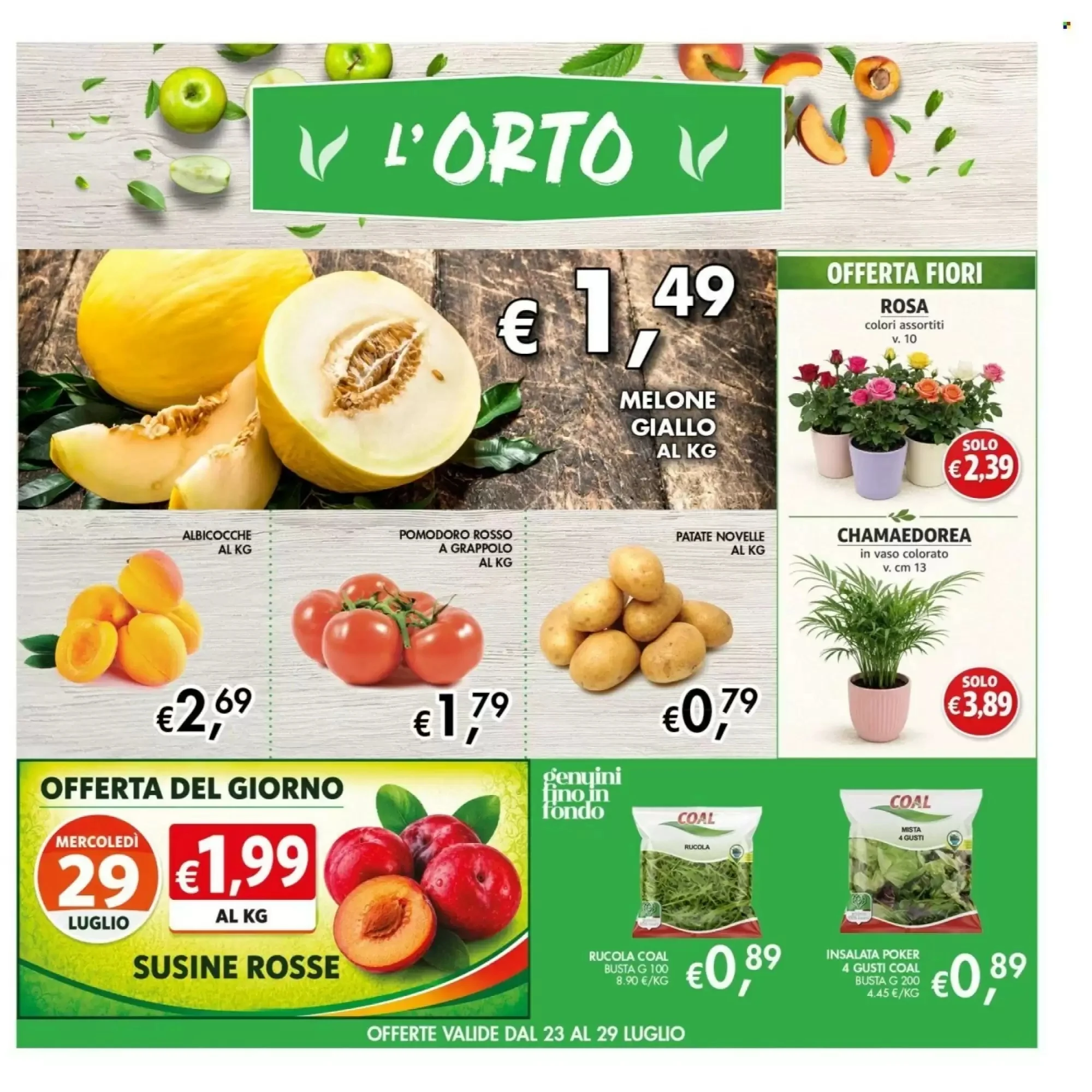 Volantino Maxi Coal Volantino Maxi Coal pagina 3