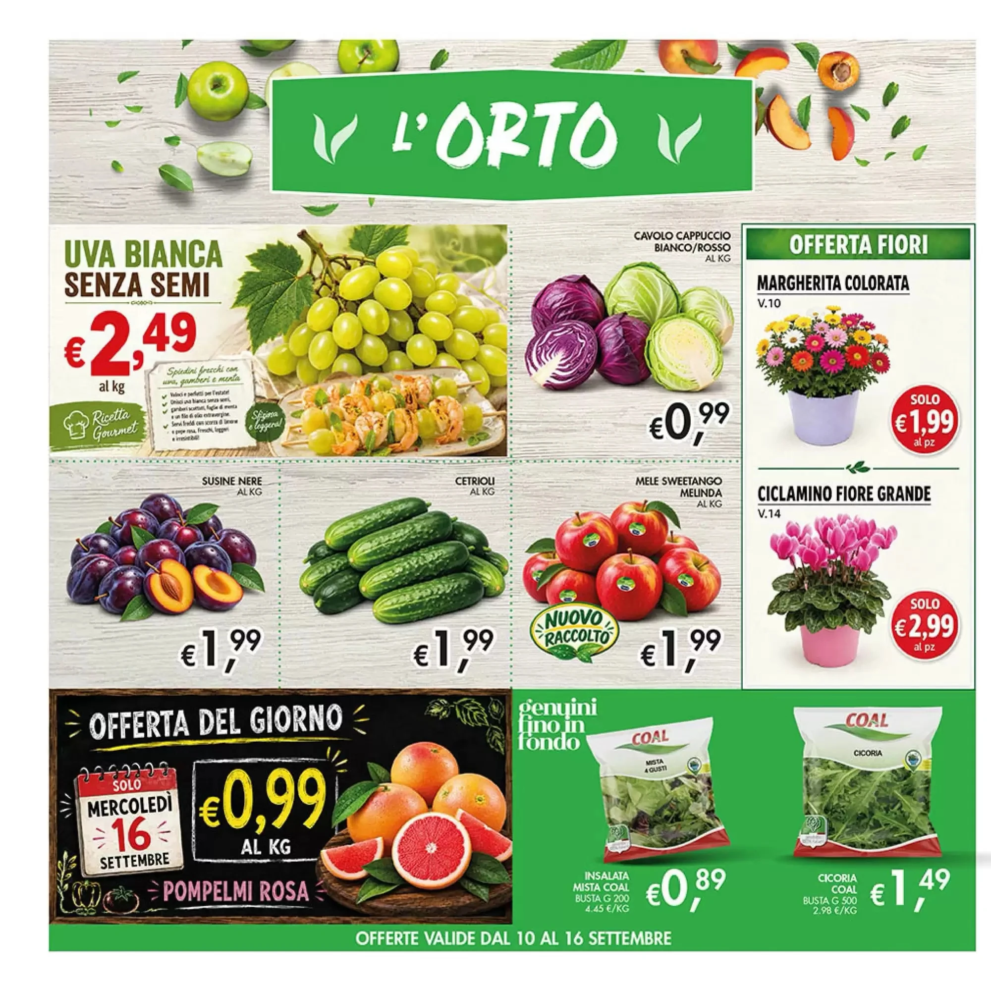 Volantino Maxi Coal Volantino Maxi Coal pagina 6