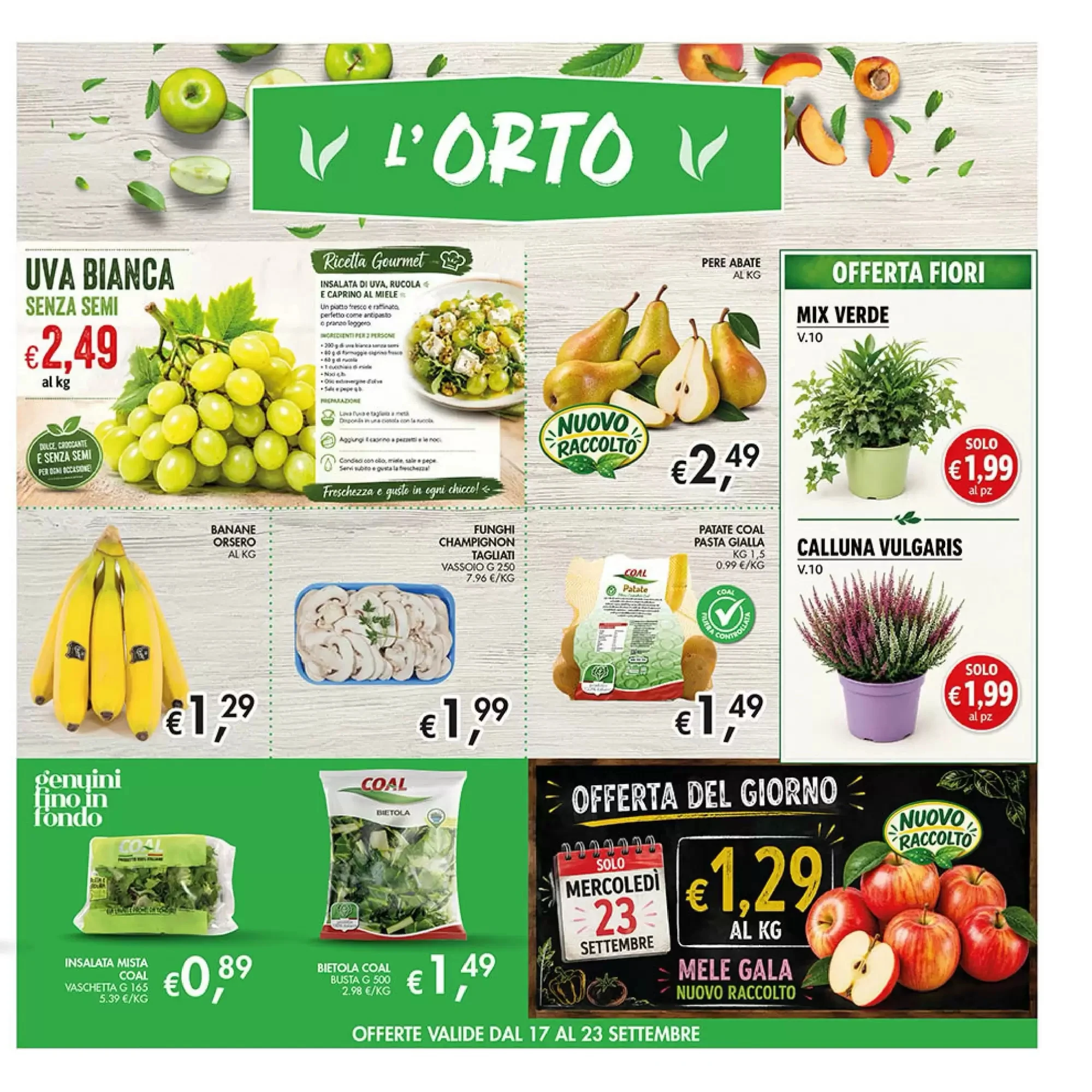 Volantino Maxi Coal Volantino Maxi Coal pagina 7