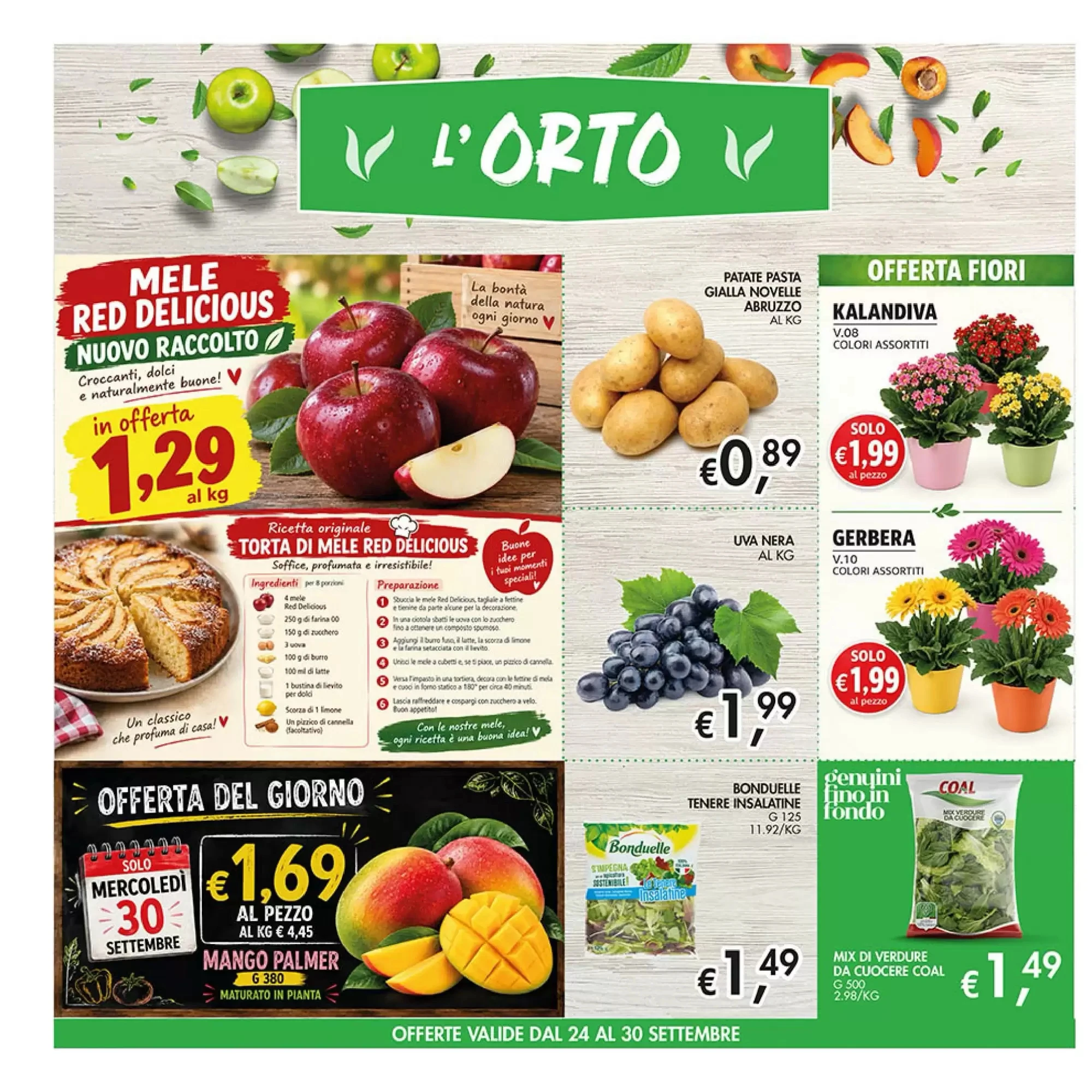 Volantino Maxi Coal Volantino Maxi Coal pagina 10