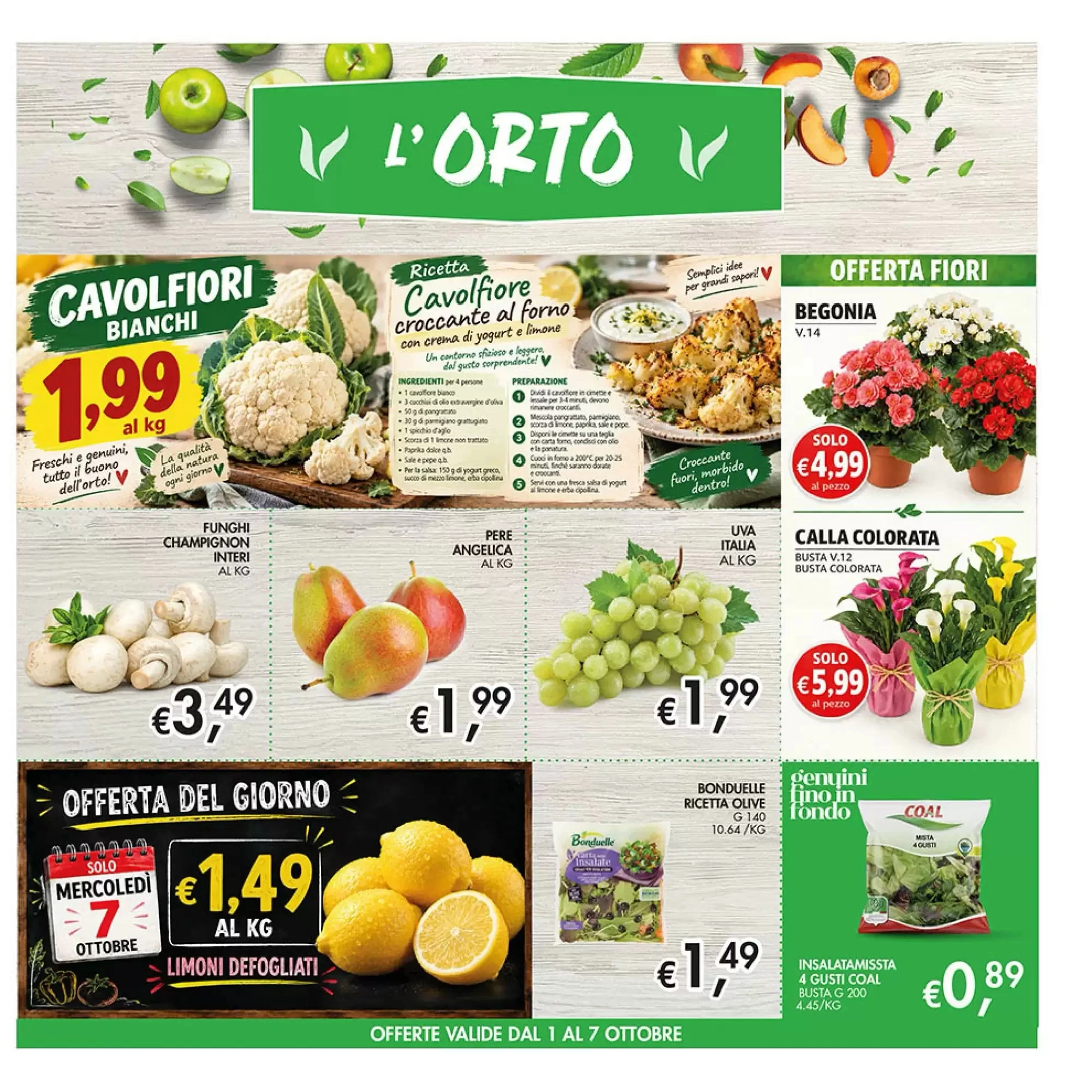 Volantino Maxi Coal Volantino Maxi Coal pagina 11