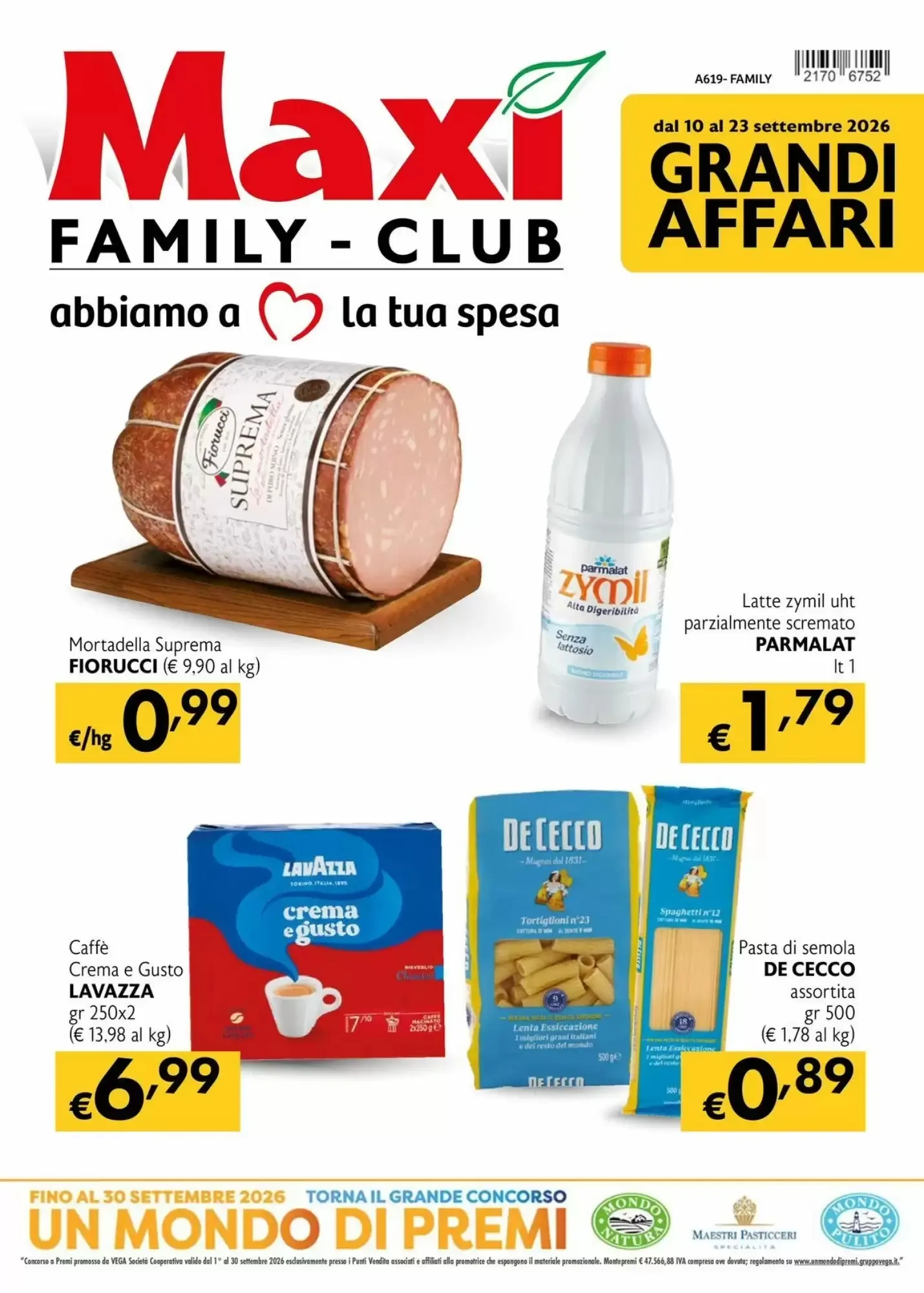 Miniatura Maxi Family - Volantino Maxi Family