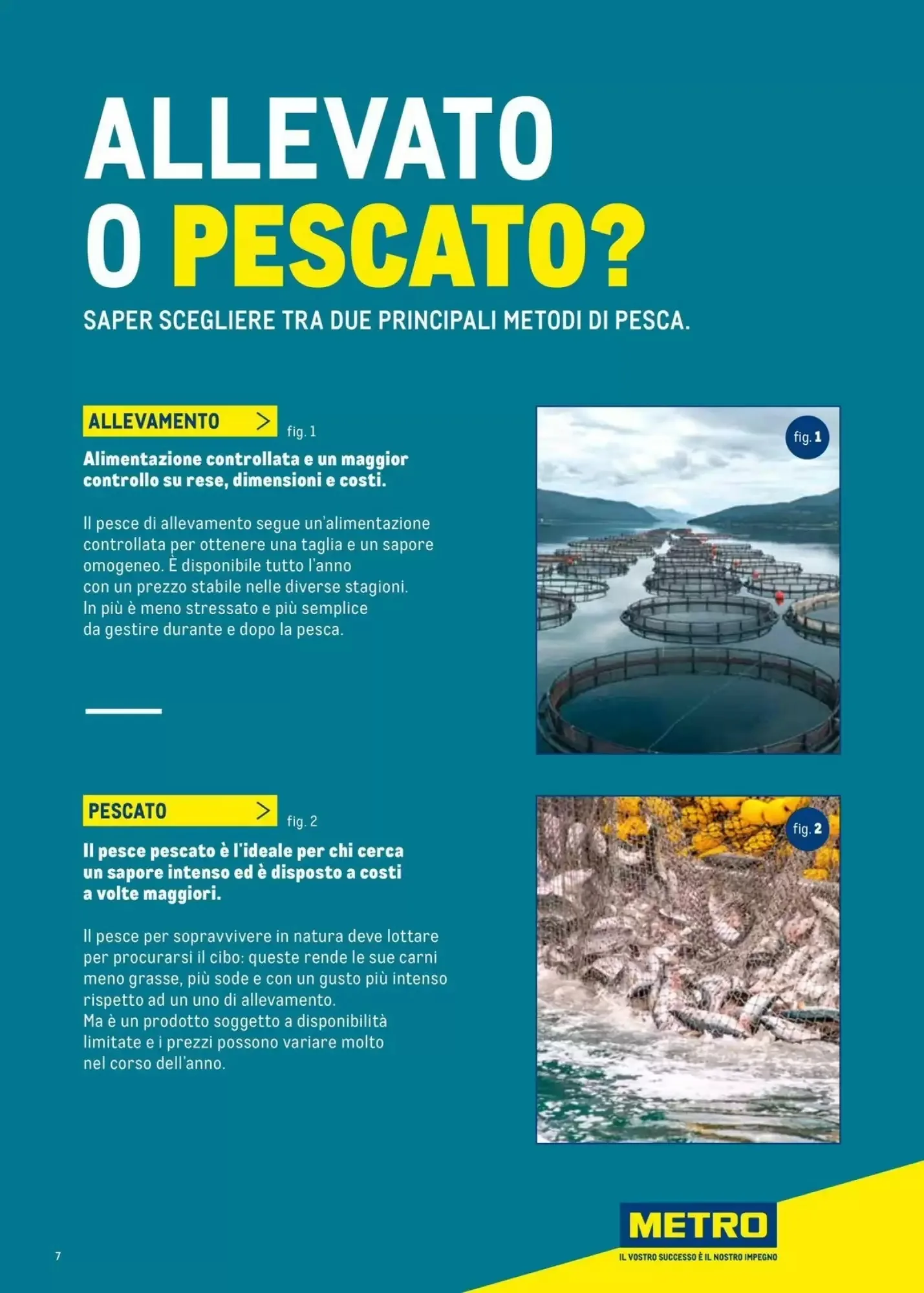 Volantino Metro Volantino Metro pagina 7
