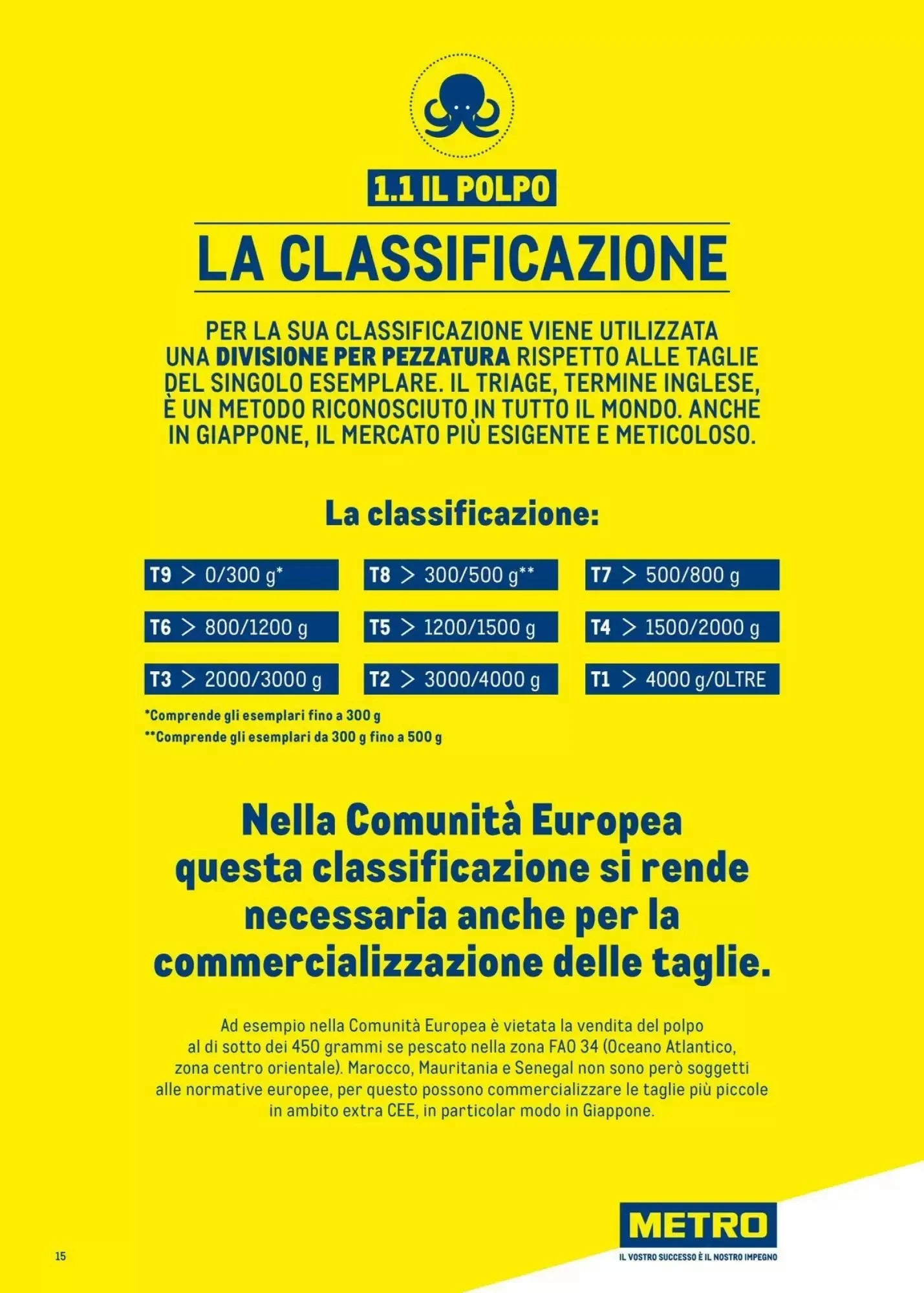Volantino Metro Volantino Metro pagina 15