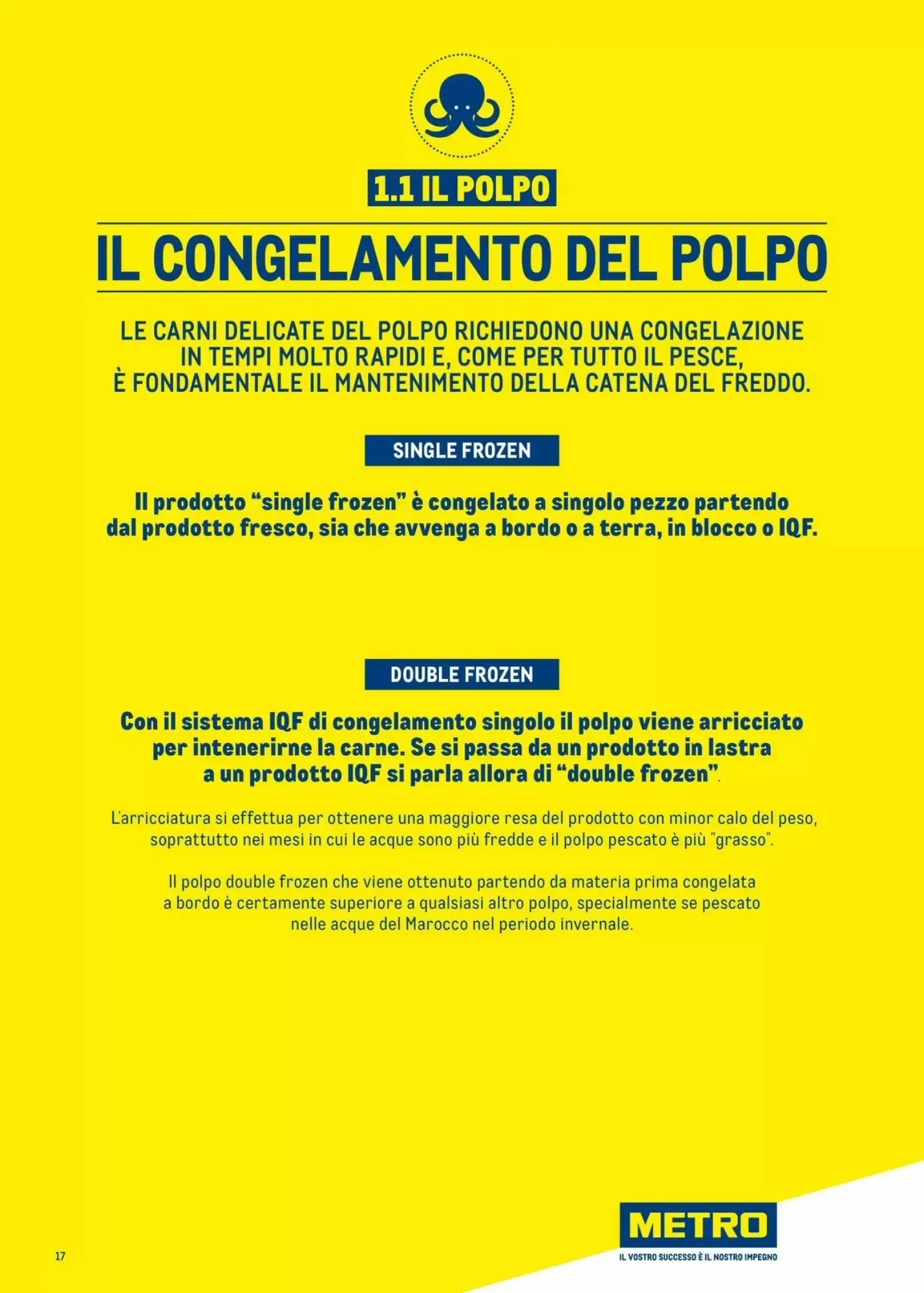 Volantino Metro Volantino Metro pagina 17