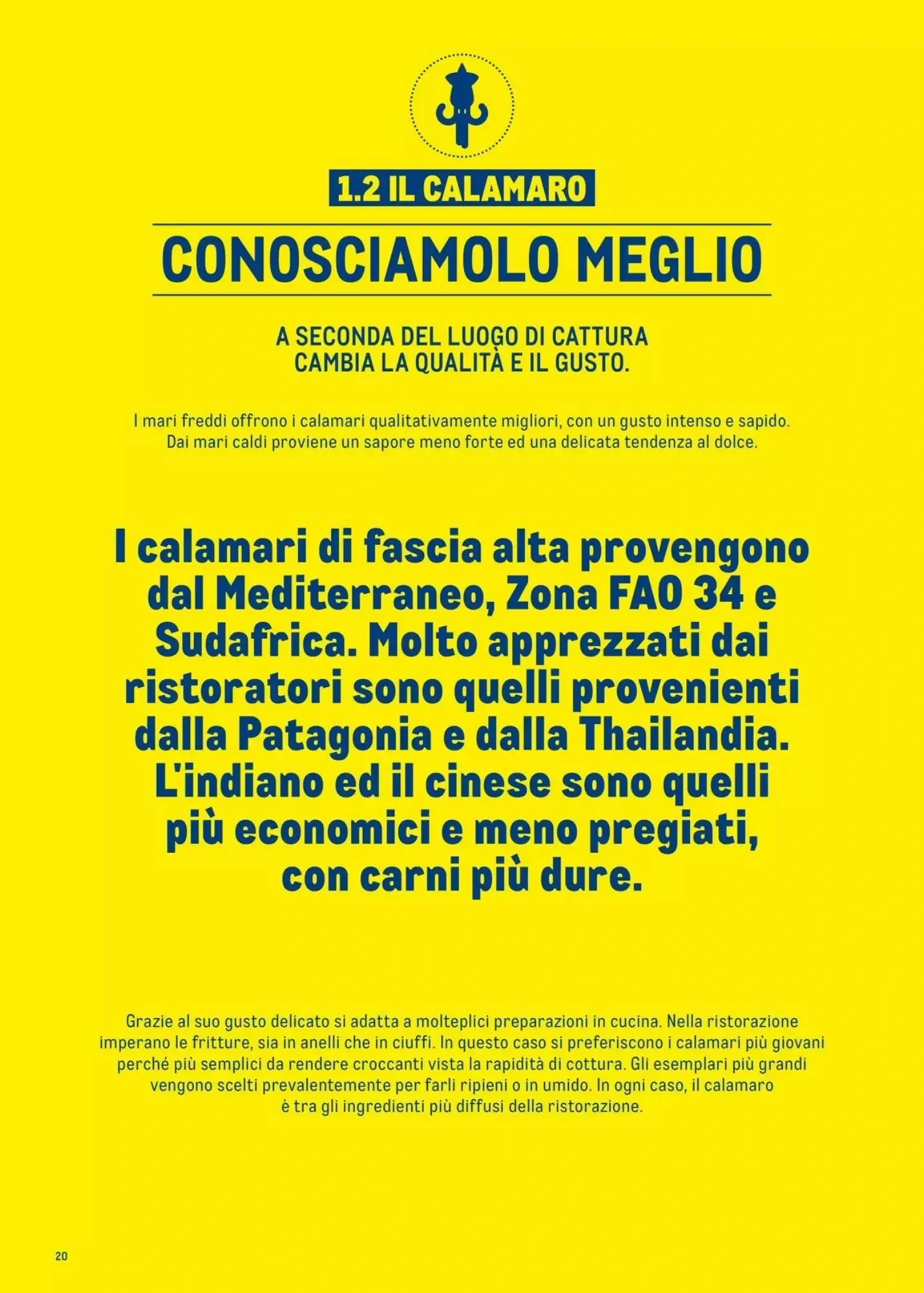 Volantino Metro Volantino Metro pagina 20