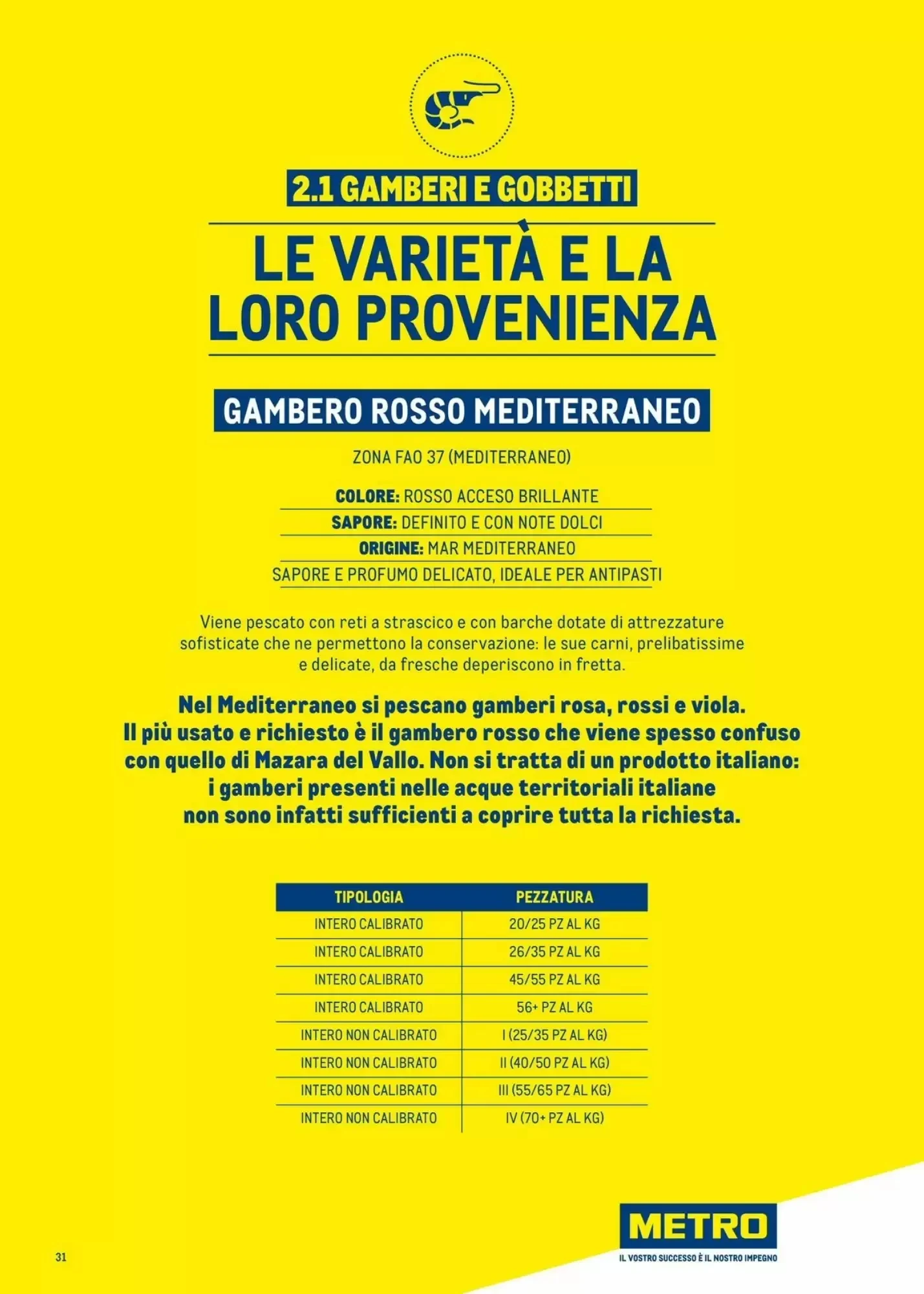 Volantino Metro Volantino Metro pagina 31