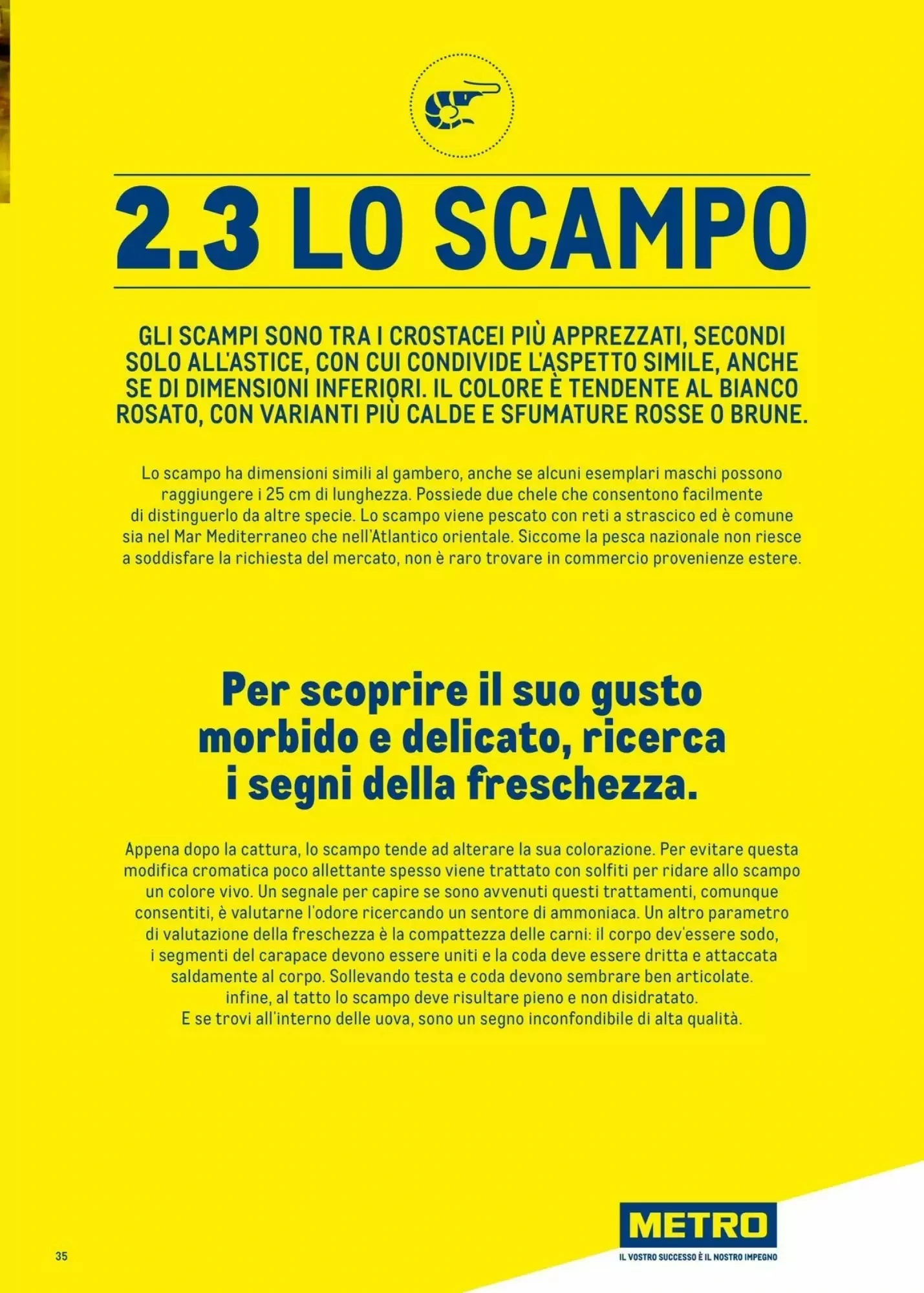 Volantino Metro Volantino Metro pagina 35