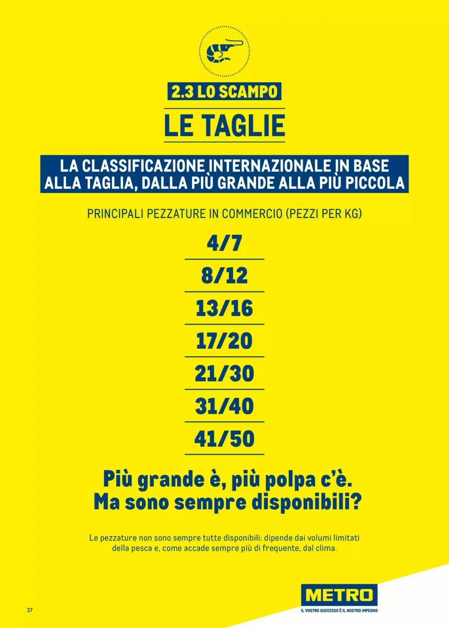 Volantino Metro Volantino Metro pagina 37