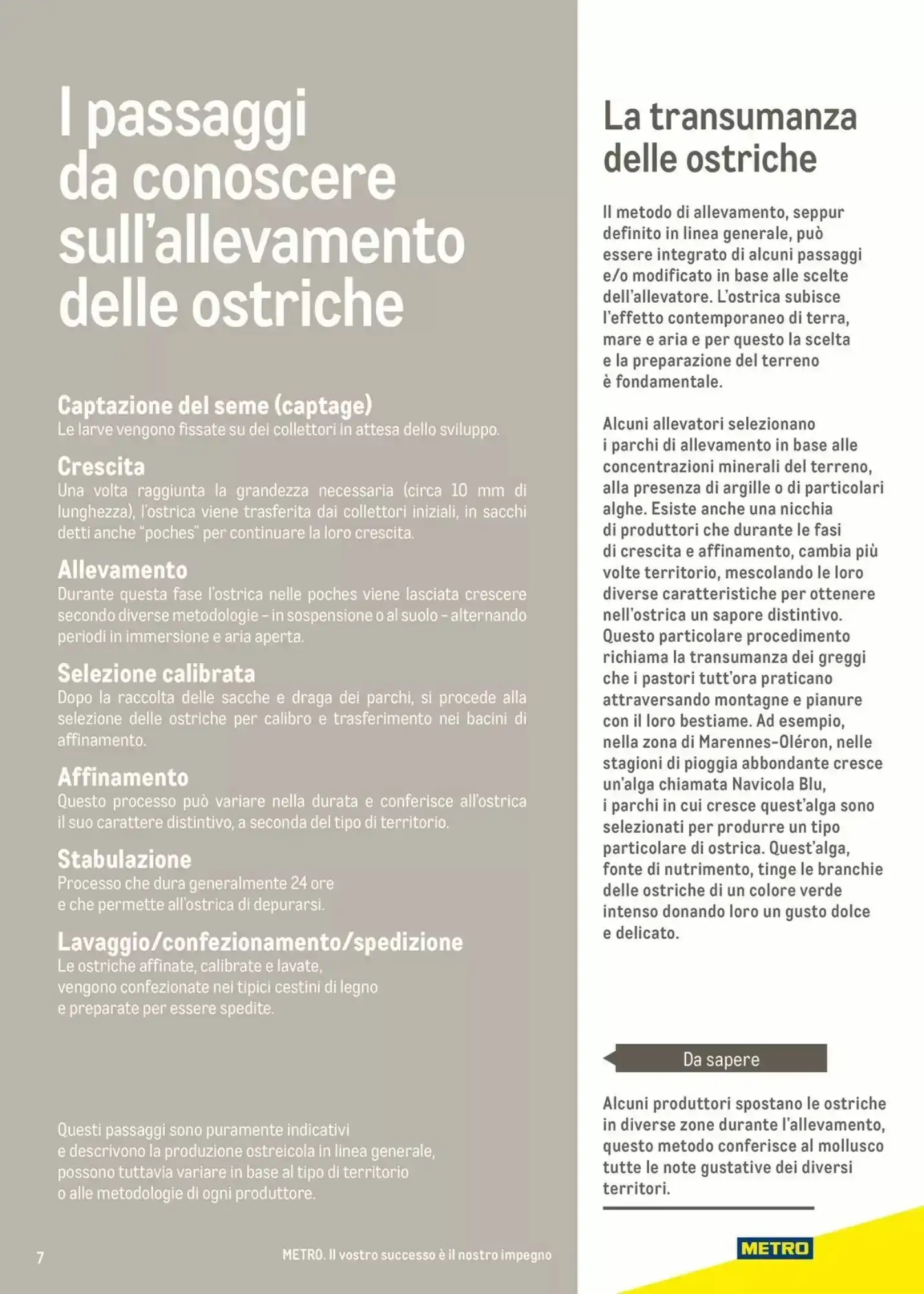 Volantino Metro Volantino Metro pagina 7