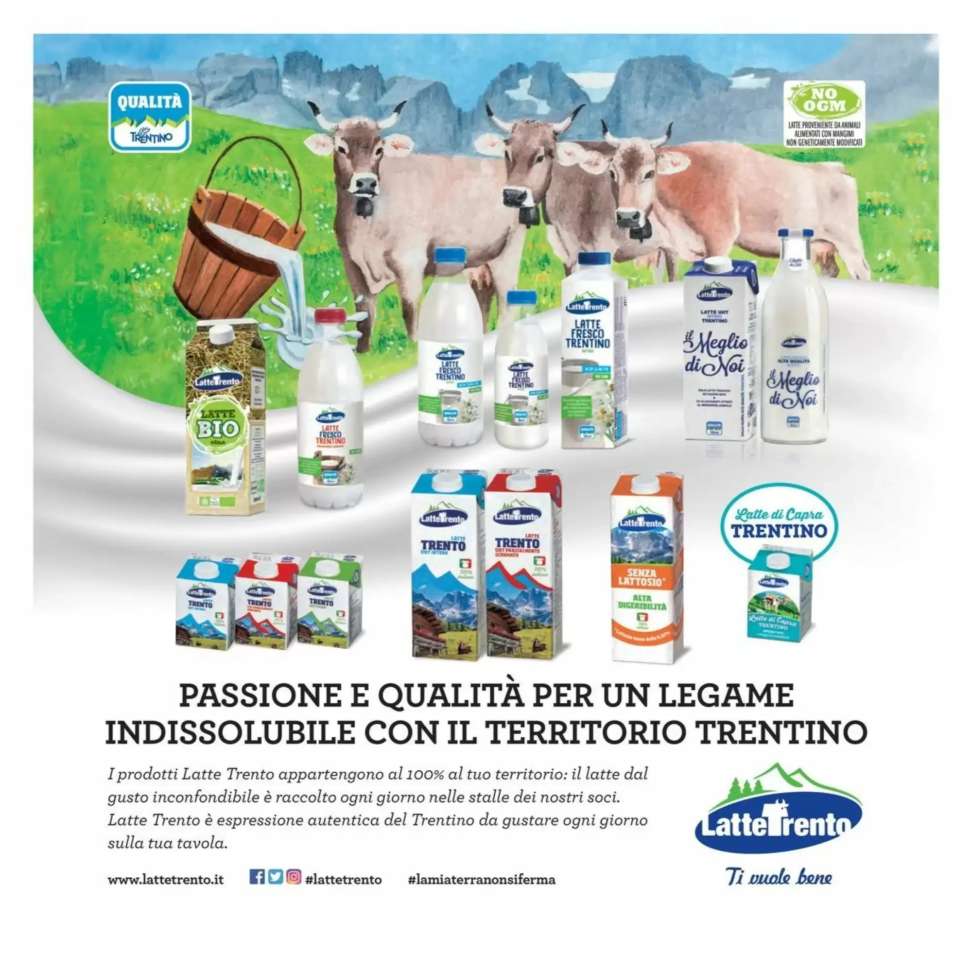 Volantino Orvea Volantino Orvea pagina 14