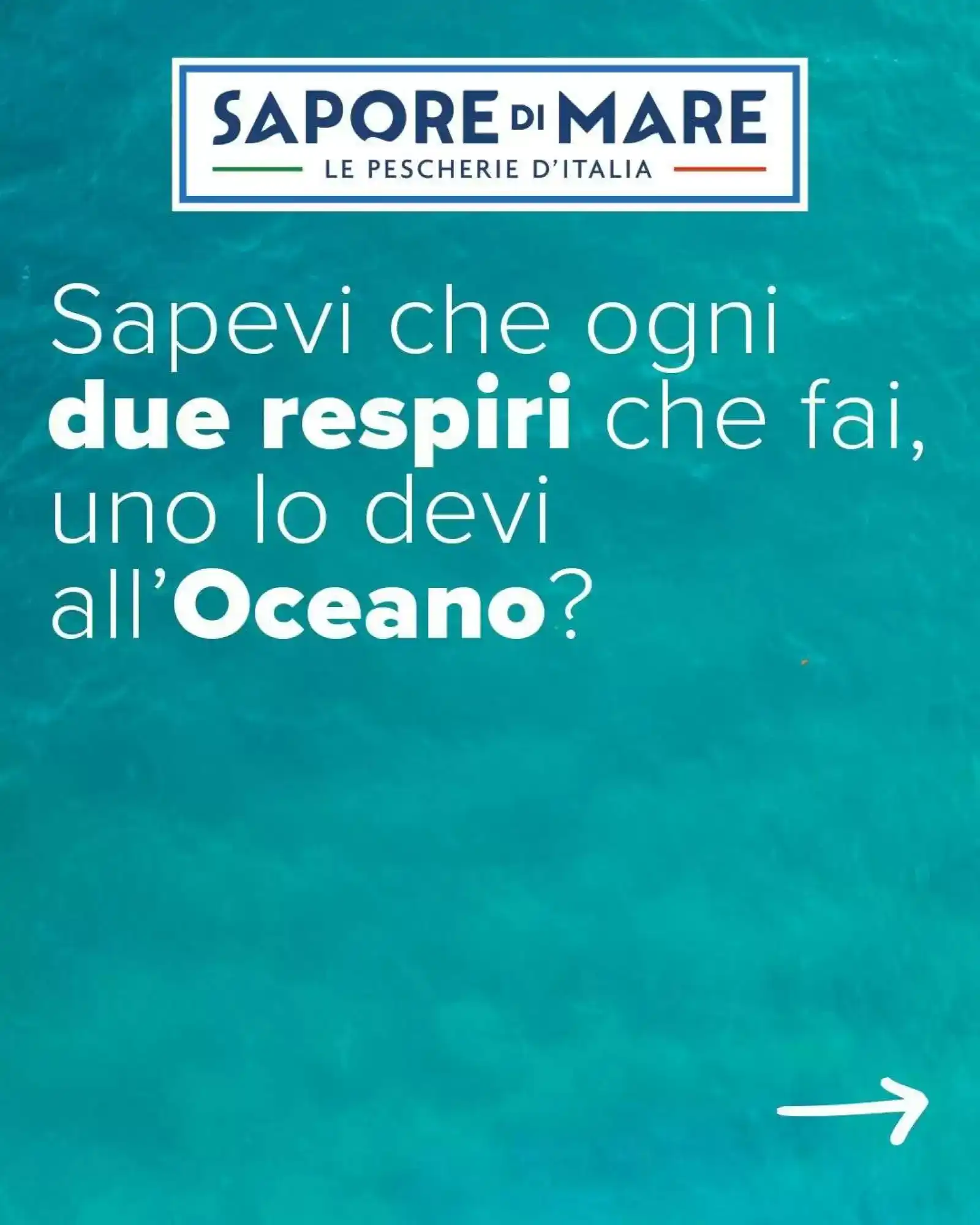 Copertina Sapore Di Mare - Volantino Sapore Di Mare