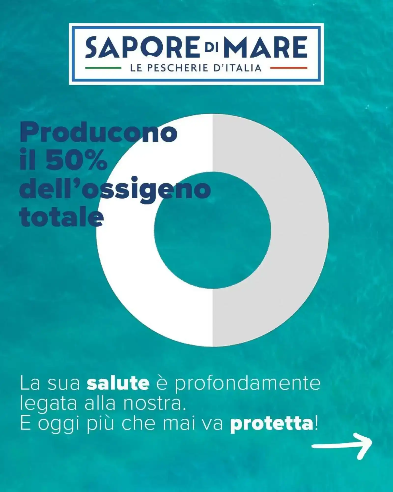 Volantino Sapore Di Mare Volantino Sapore Di Mare pagina 2