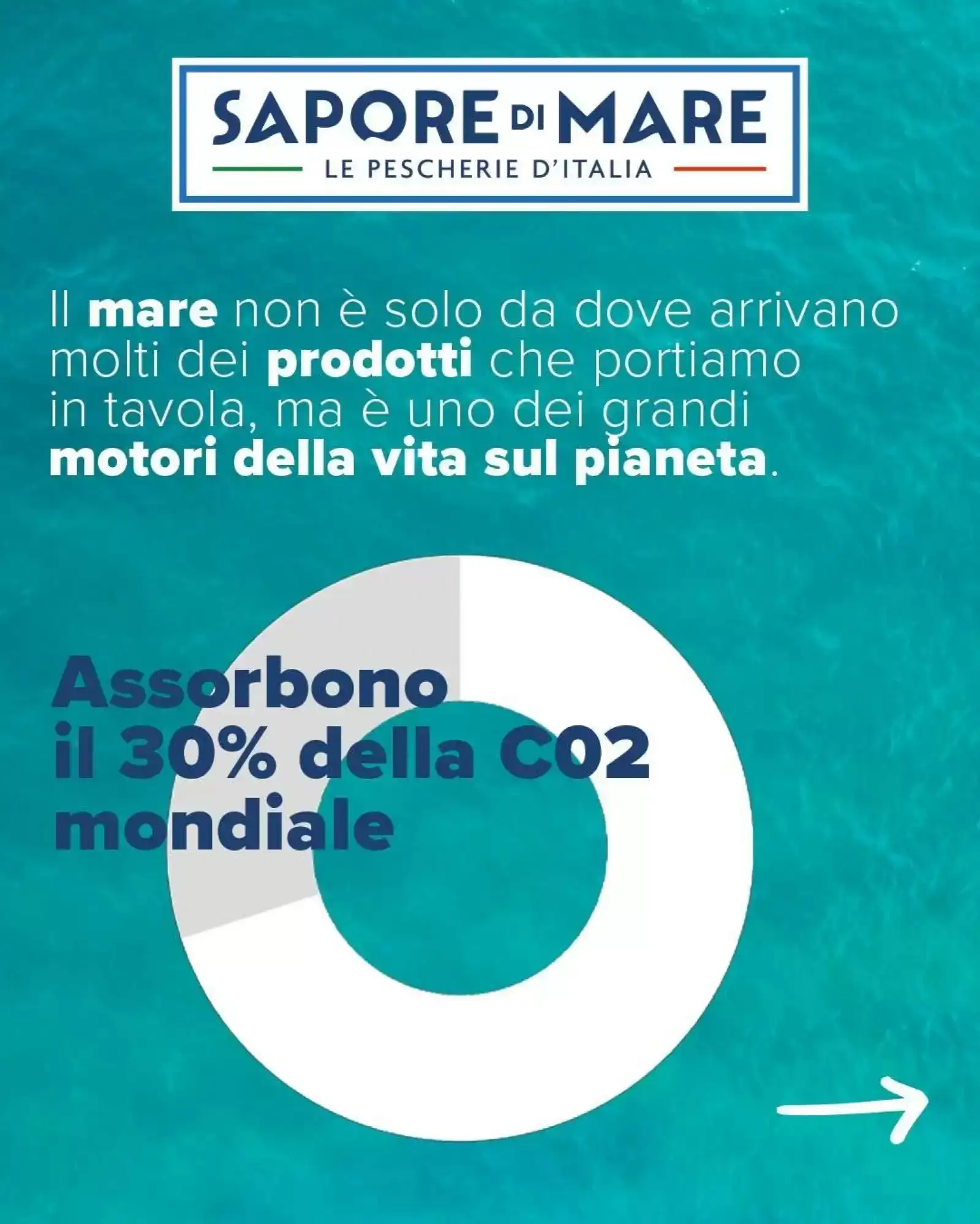 Volantino Sapore Di Mare Volantino Sapore Di Mare pagina 3