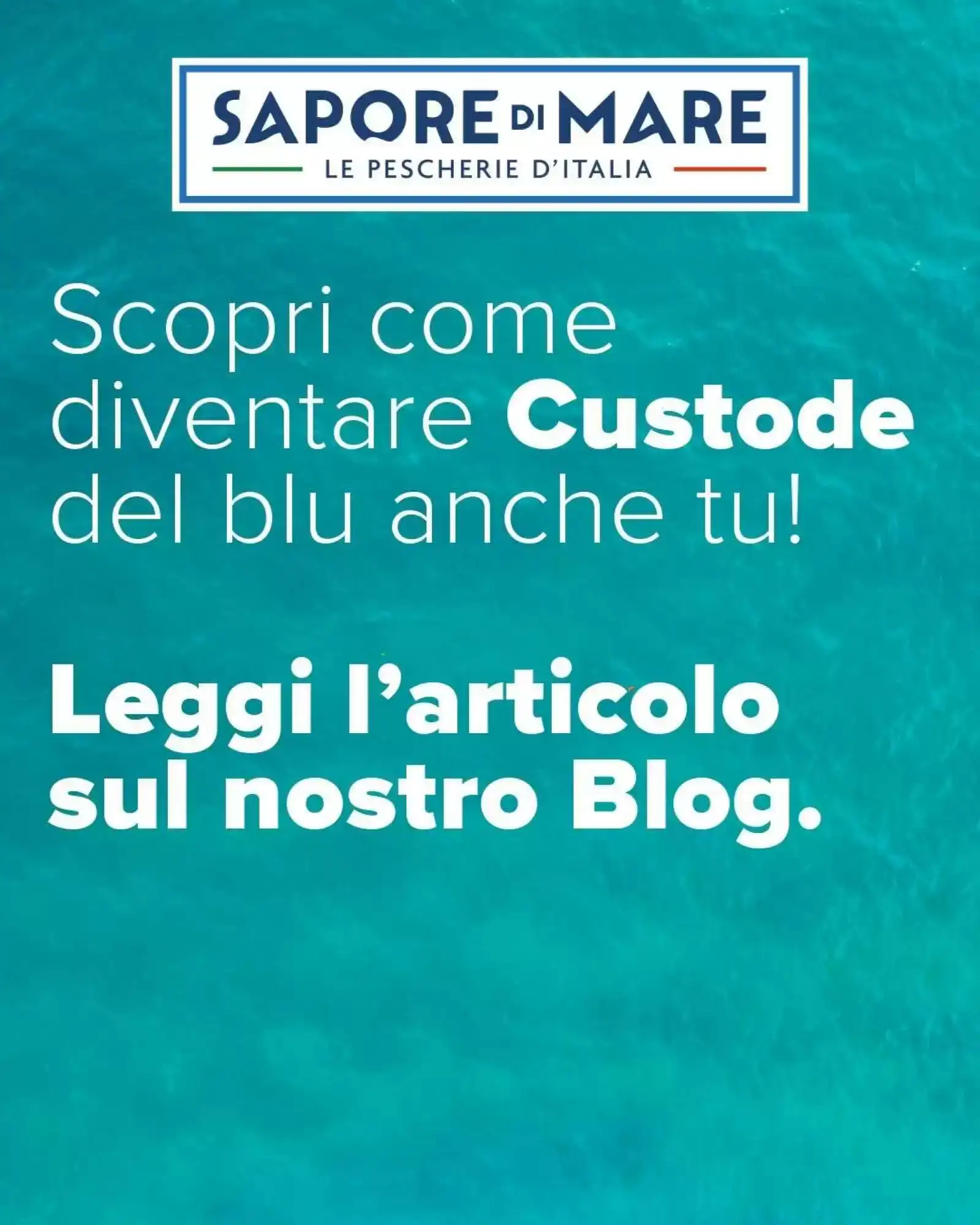 Volantino Sapore Di Mare Volantino Sapore Di Mare pagina 4