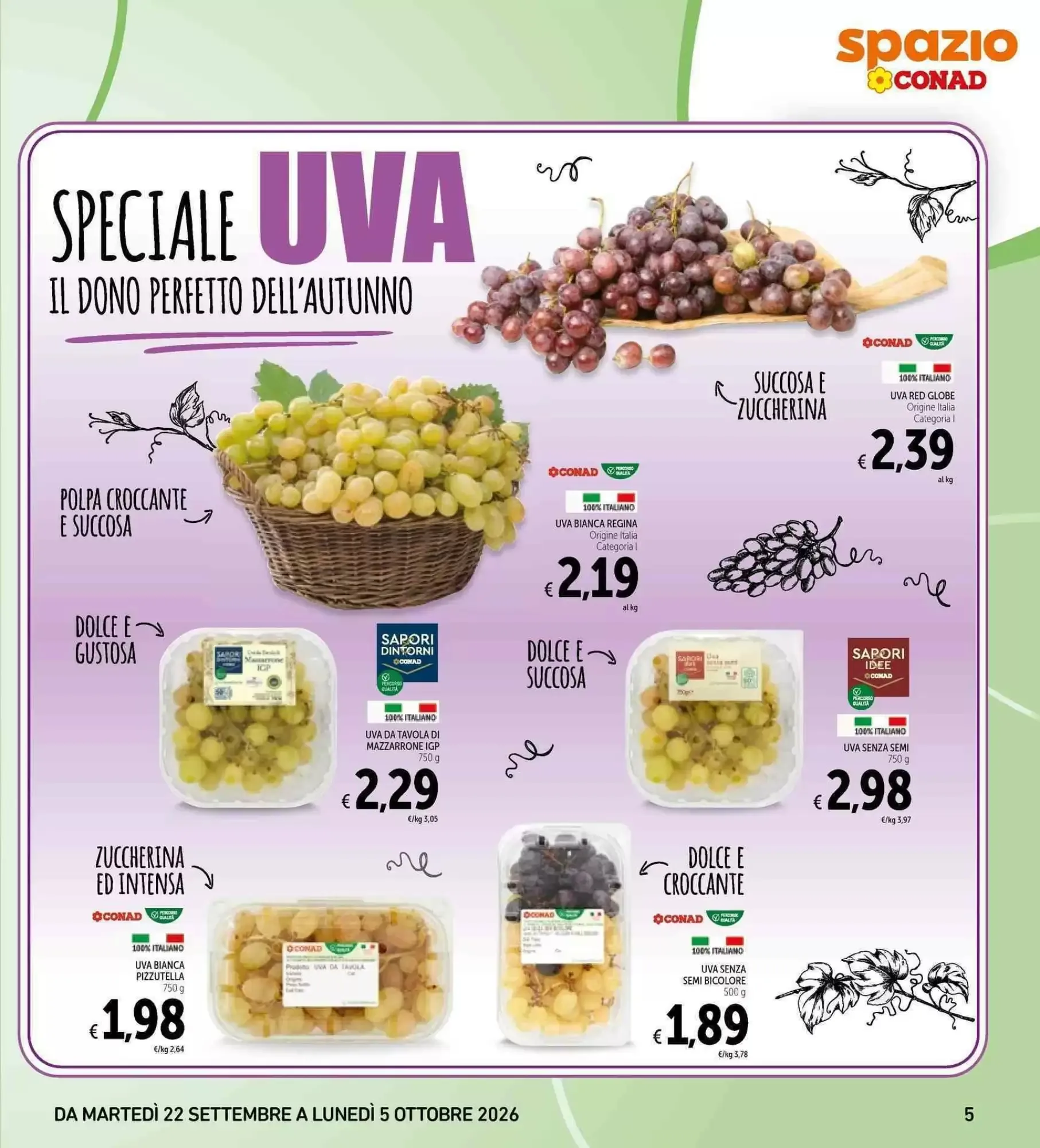 Volantino Spazio Conad Volantino Spazio Conad pagina 5