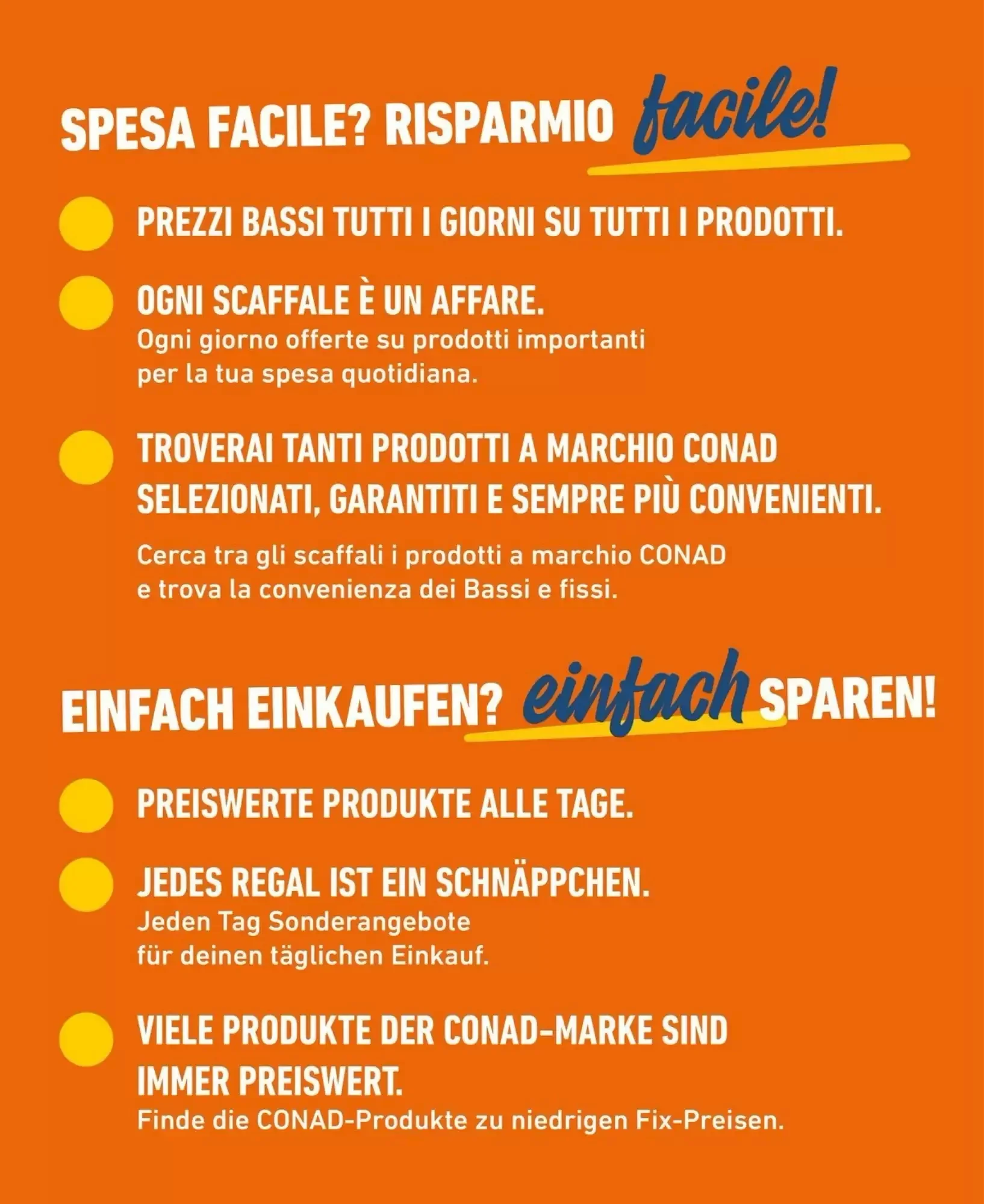 Volantino Spesa Facile Conad Volantino Spesa Facile Conad pagina 2