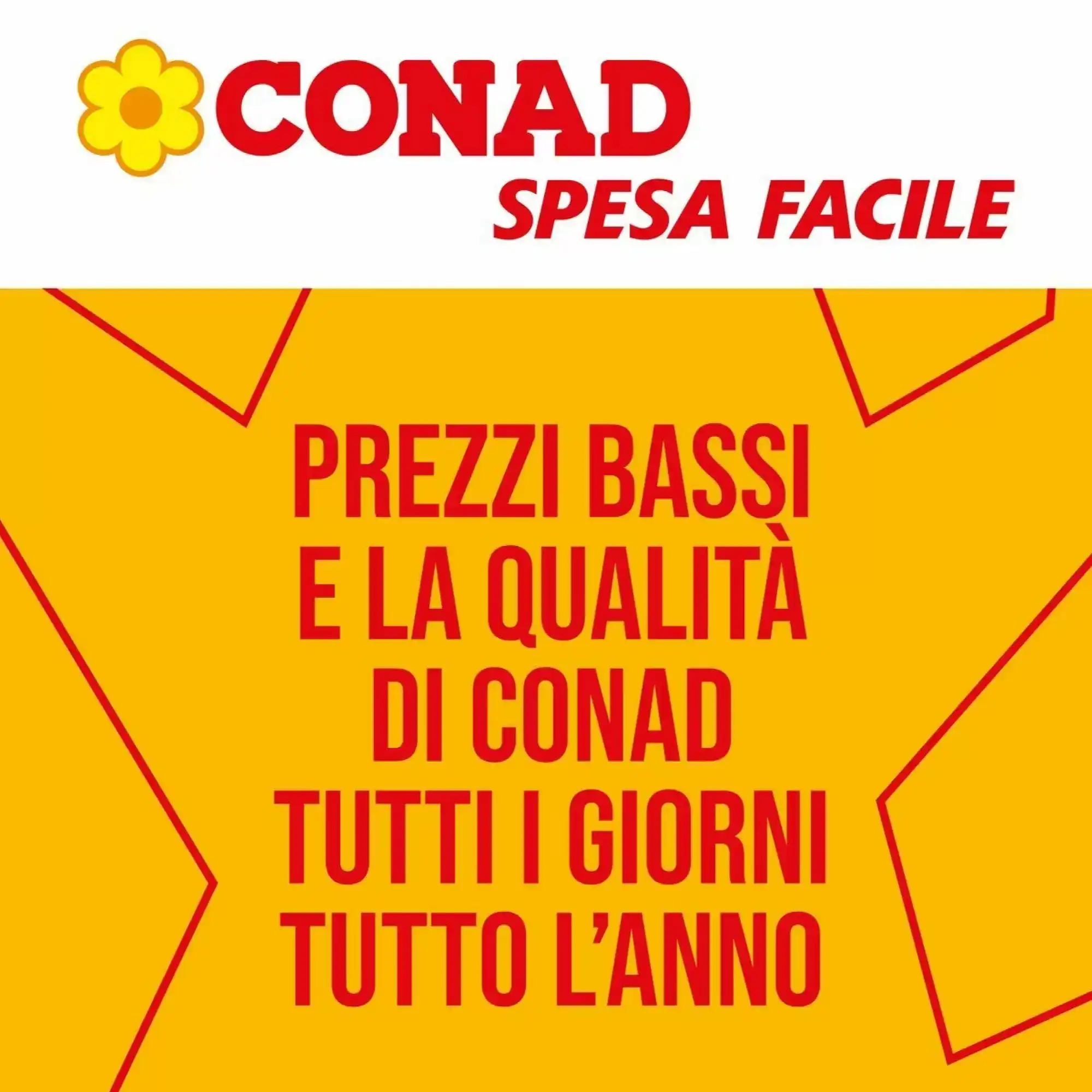 Copertina Spesa Facile Conad - Volantino Spesa Facile Conad
